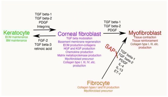 Biomolecules 13 00087 g004