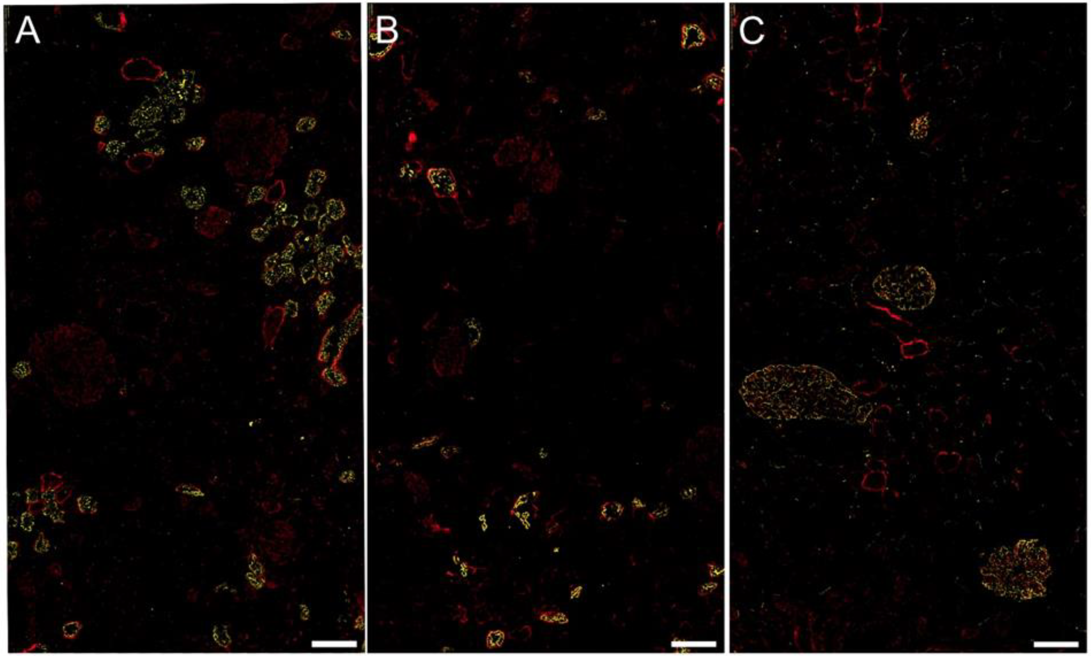 Biomolecules 13 00089 g003