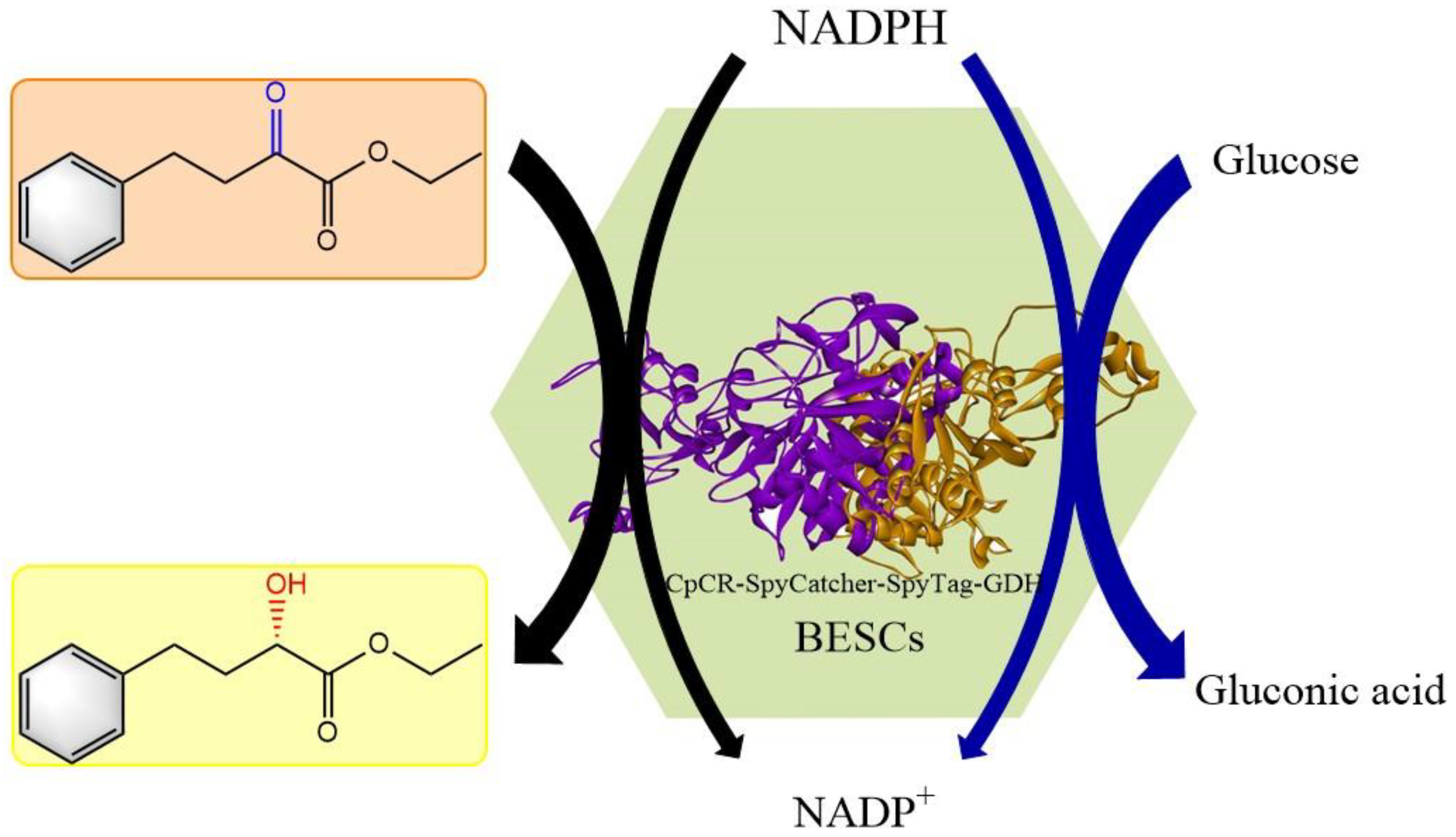 Biomolecules 13 00091 g001 Biomolecules 13 00091 g001