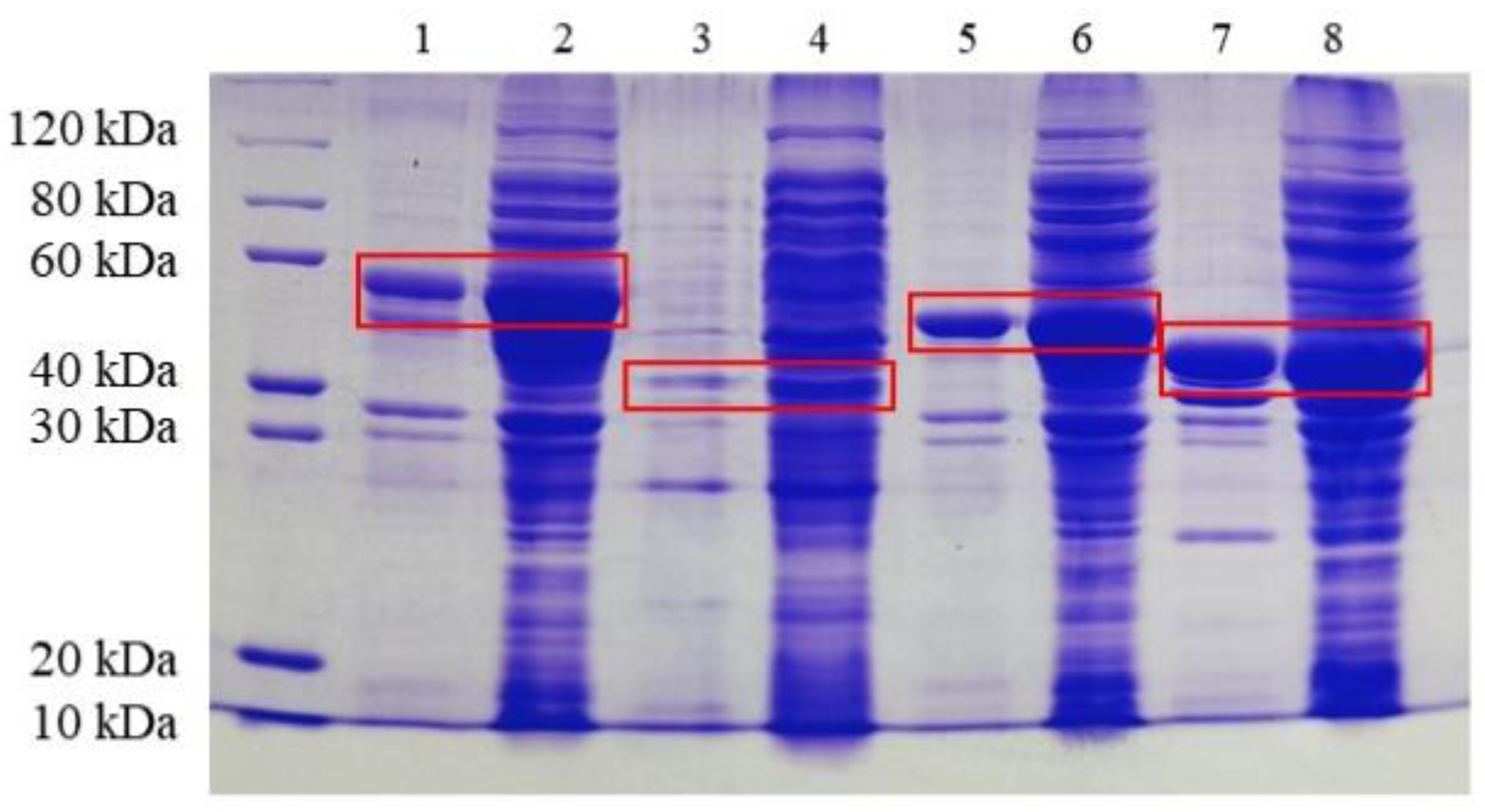 Biomolecules 13 00091 g006 Biomolecules 13 00091 g006