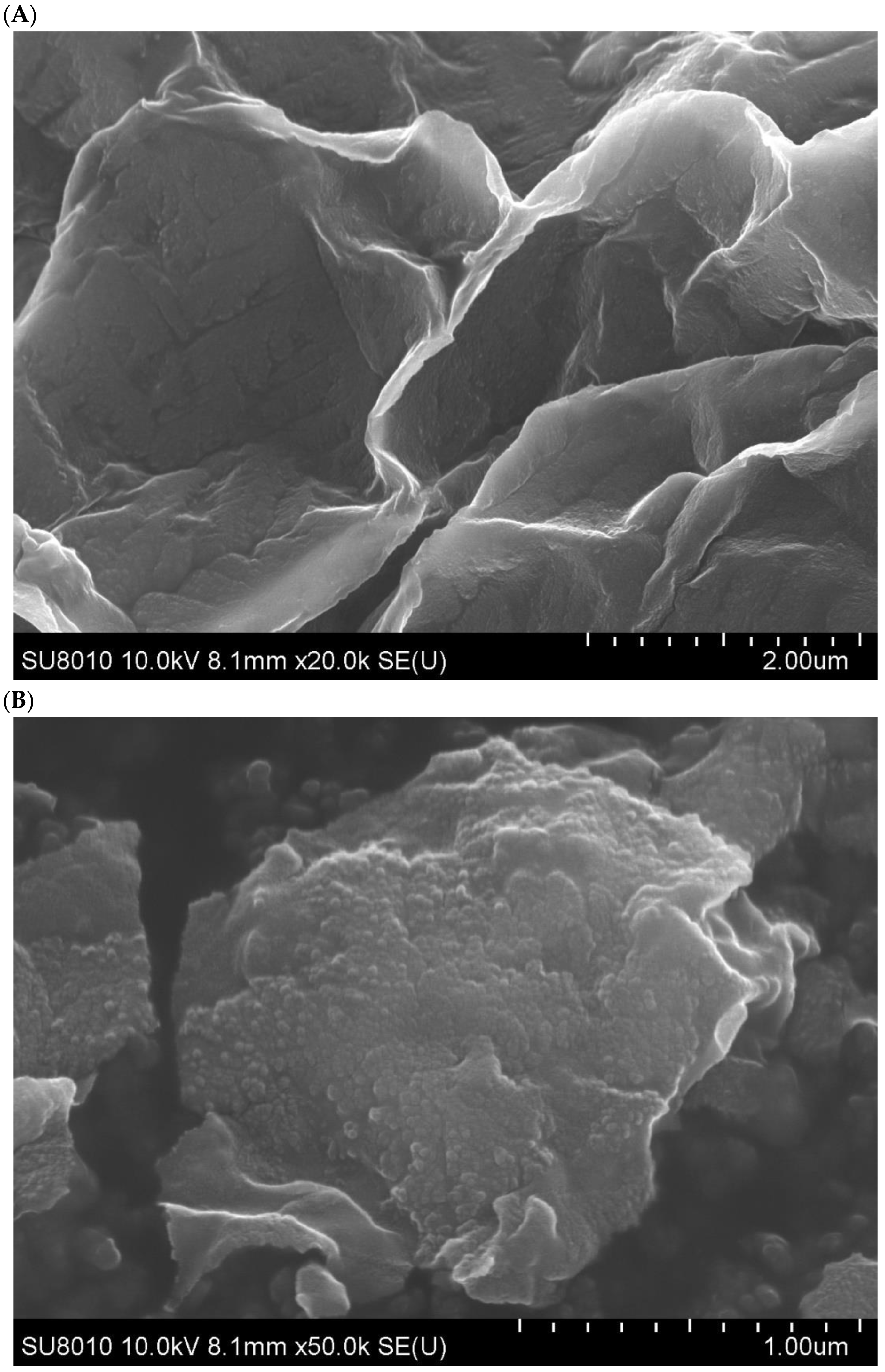 Biomolecules 13 00091 g015 Biomolecules 13 00091 g015