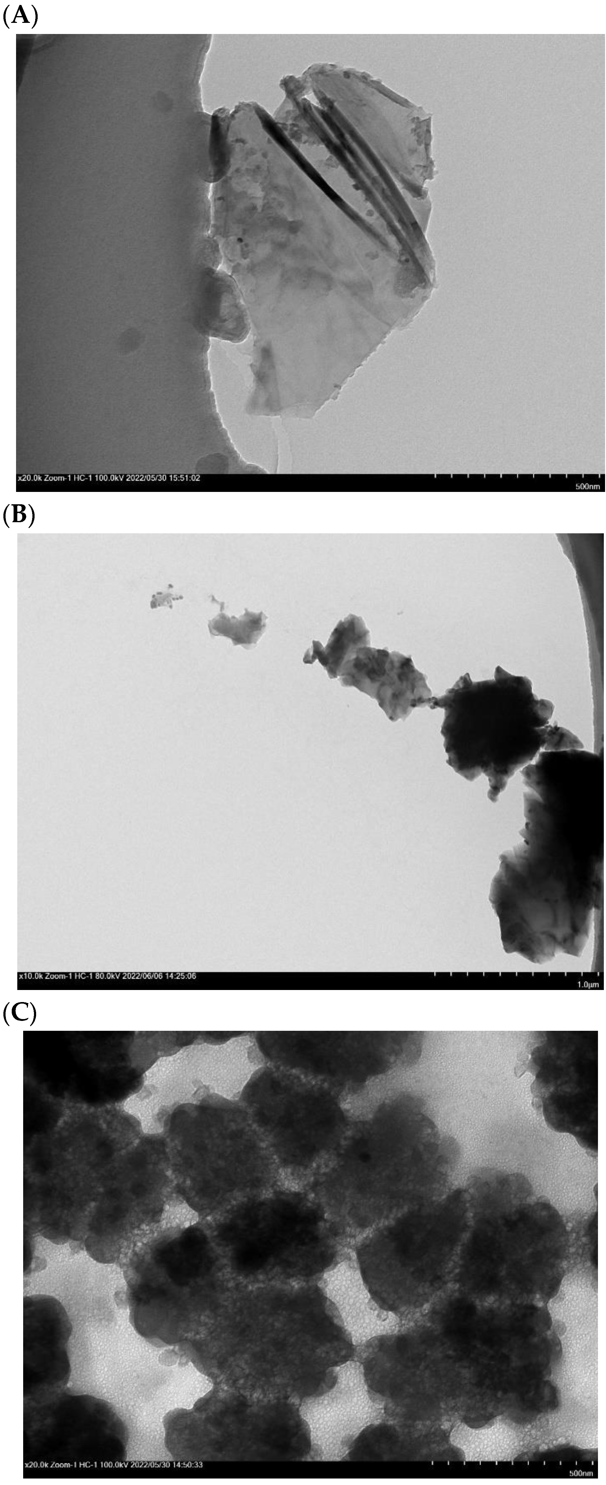 Biomolecules 13 00091 g016 Biomolecules 13 00091 g016