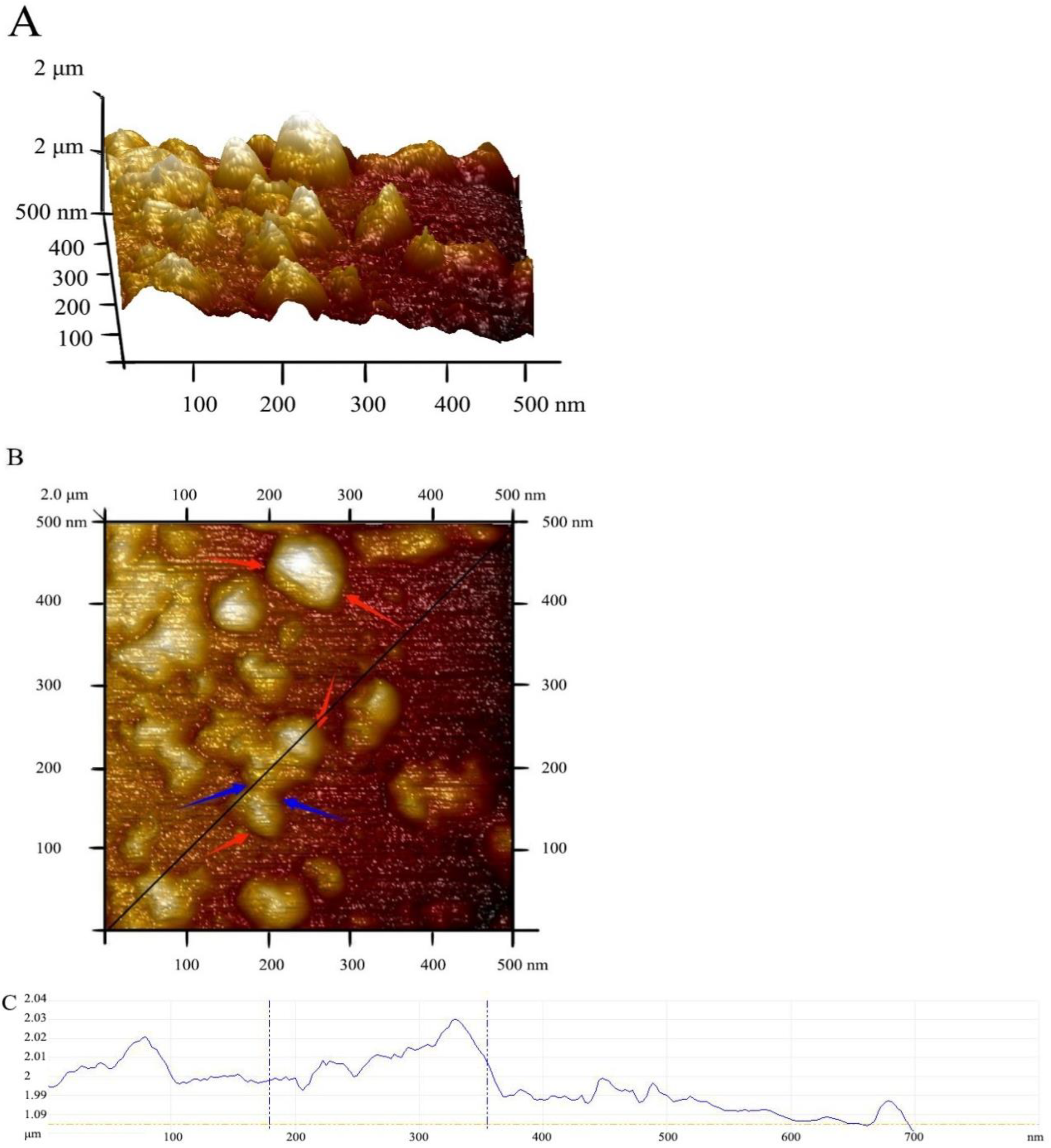 Biomolecules 13 00091 g017 Biomolecules 13 00091 g017