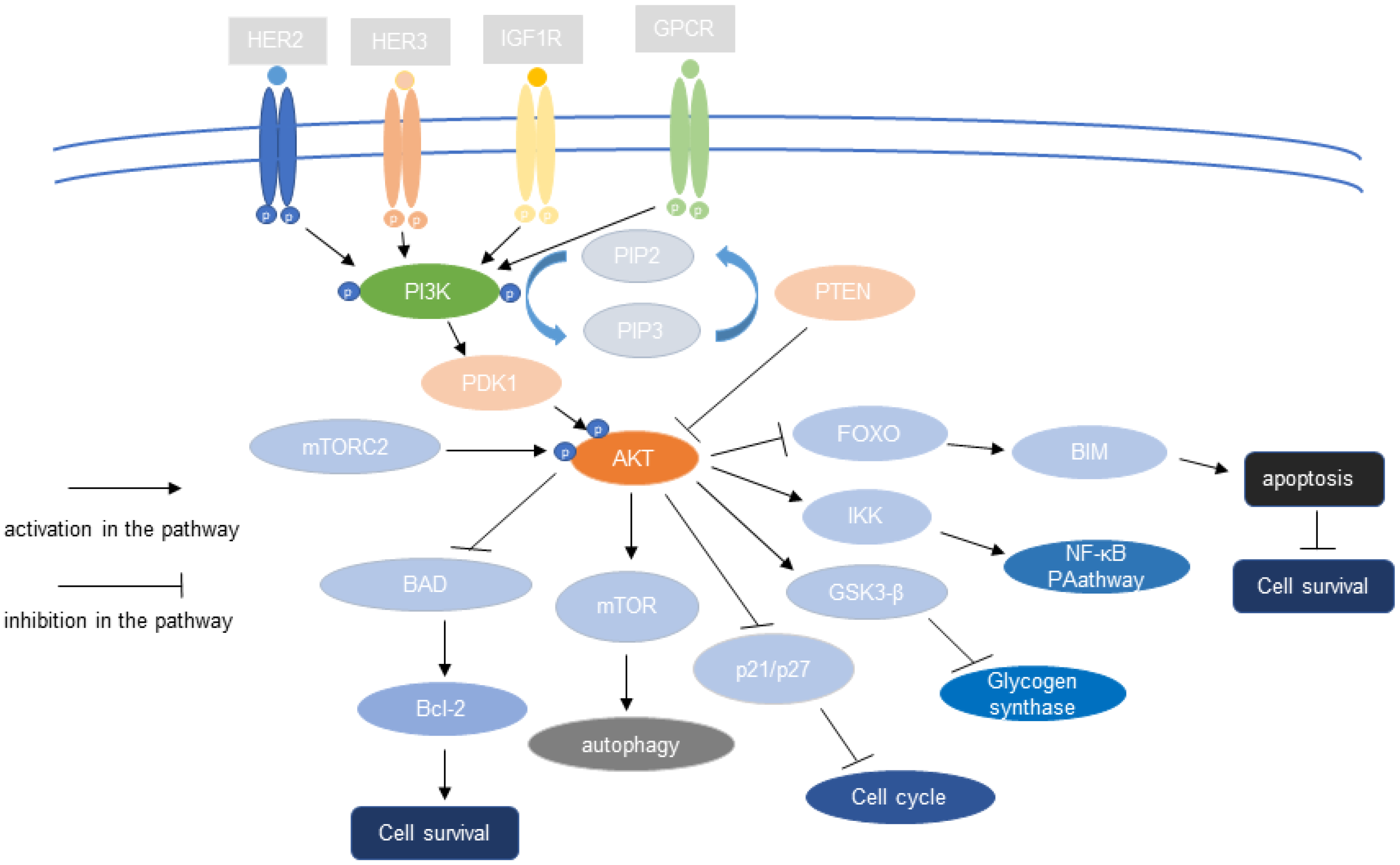 Biomolecules 13 00093 g001