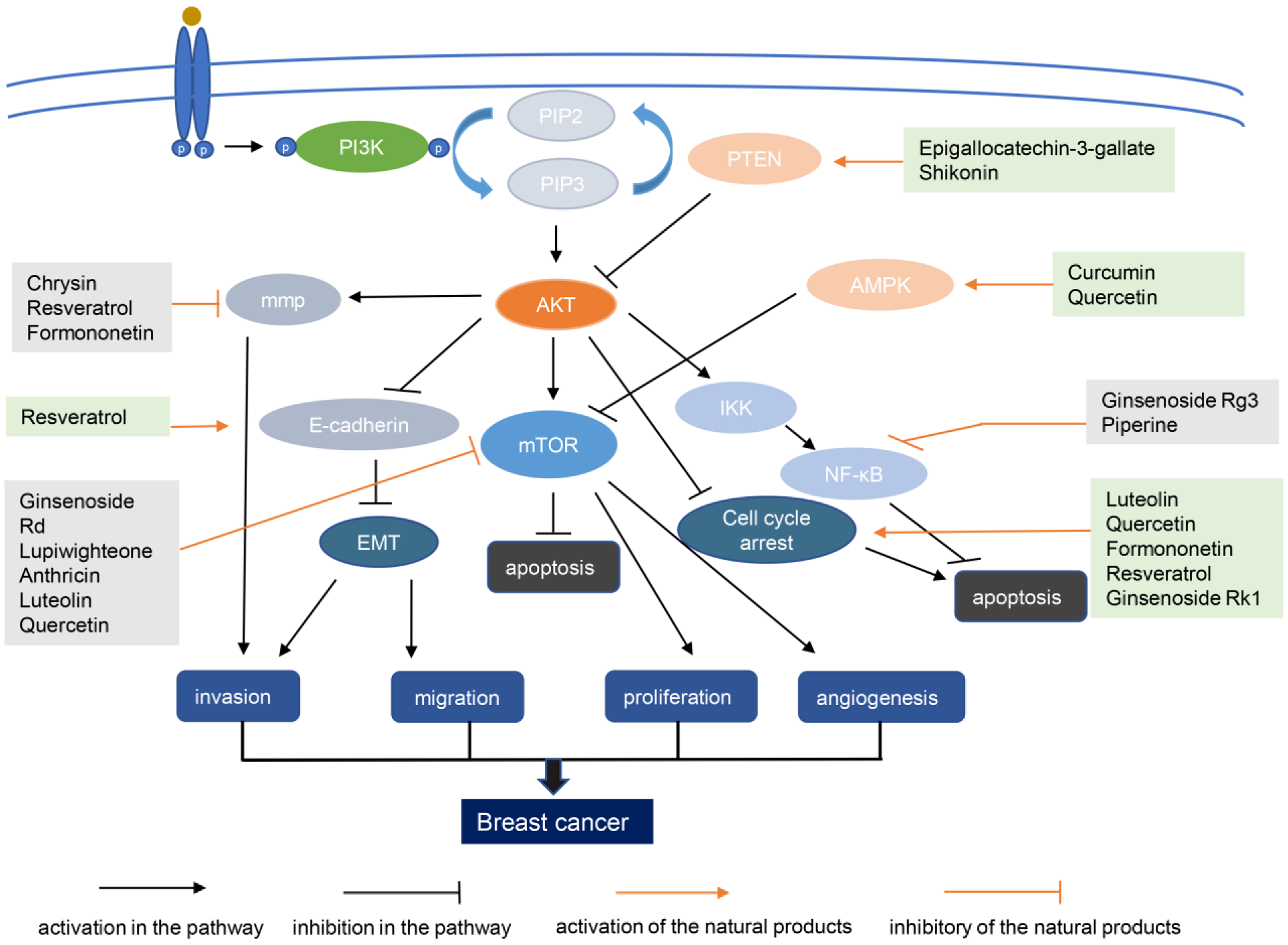 Biomolecules 13 00093 g003
