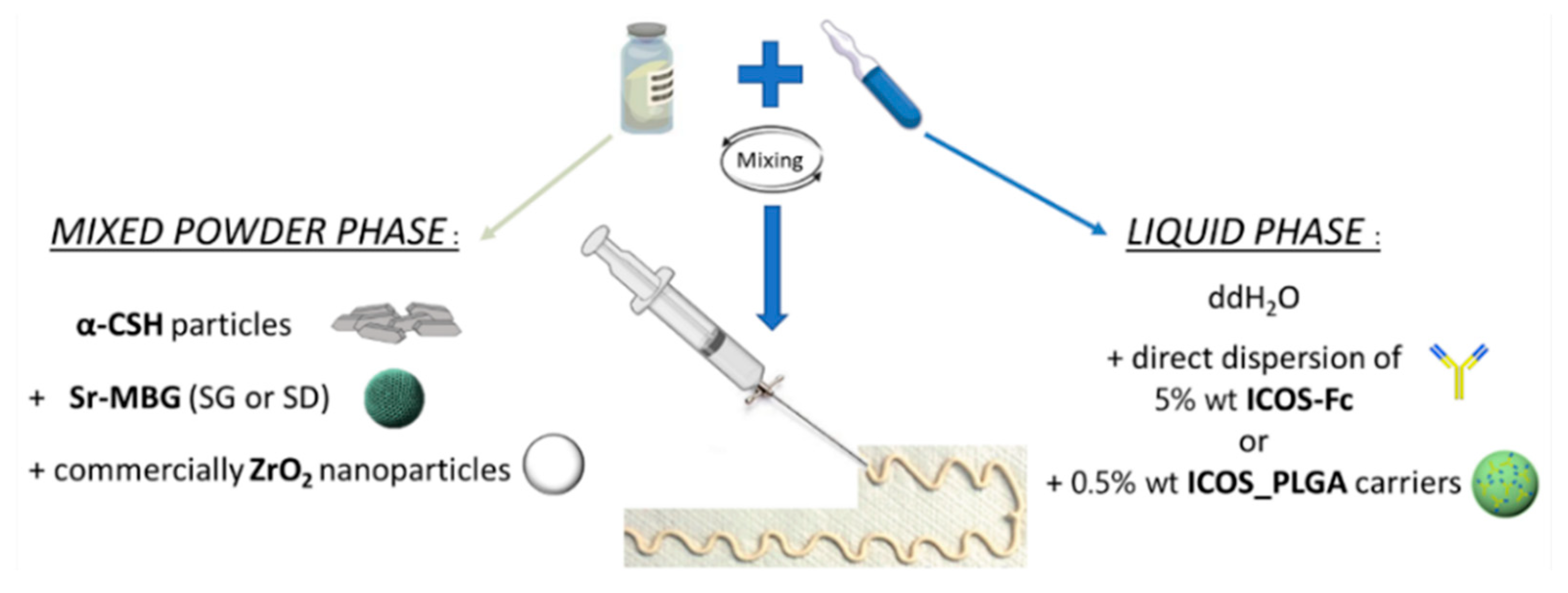 Biomolecules 13 00094 g001