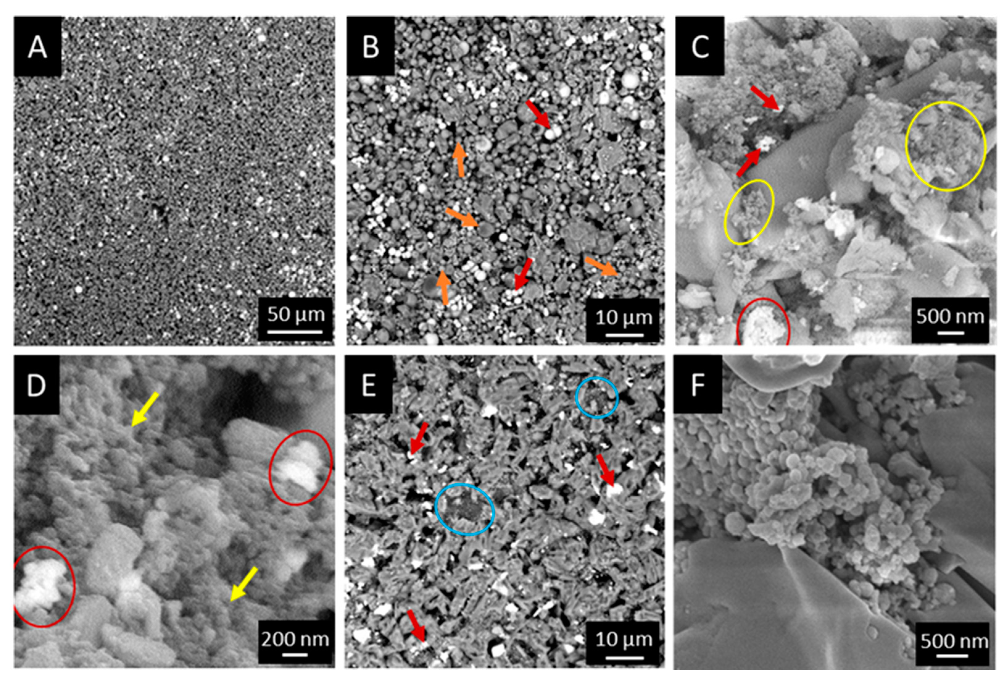 Biomolecules 13 00094 g002