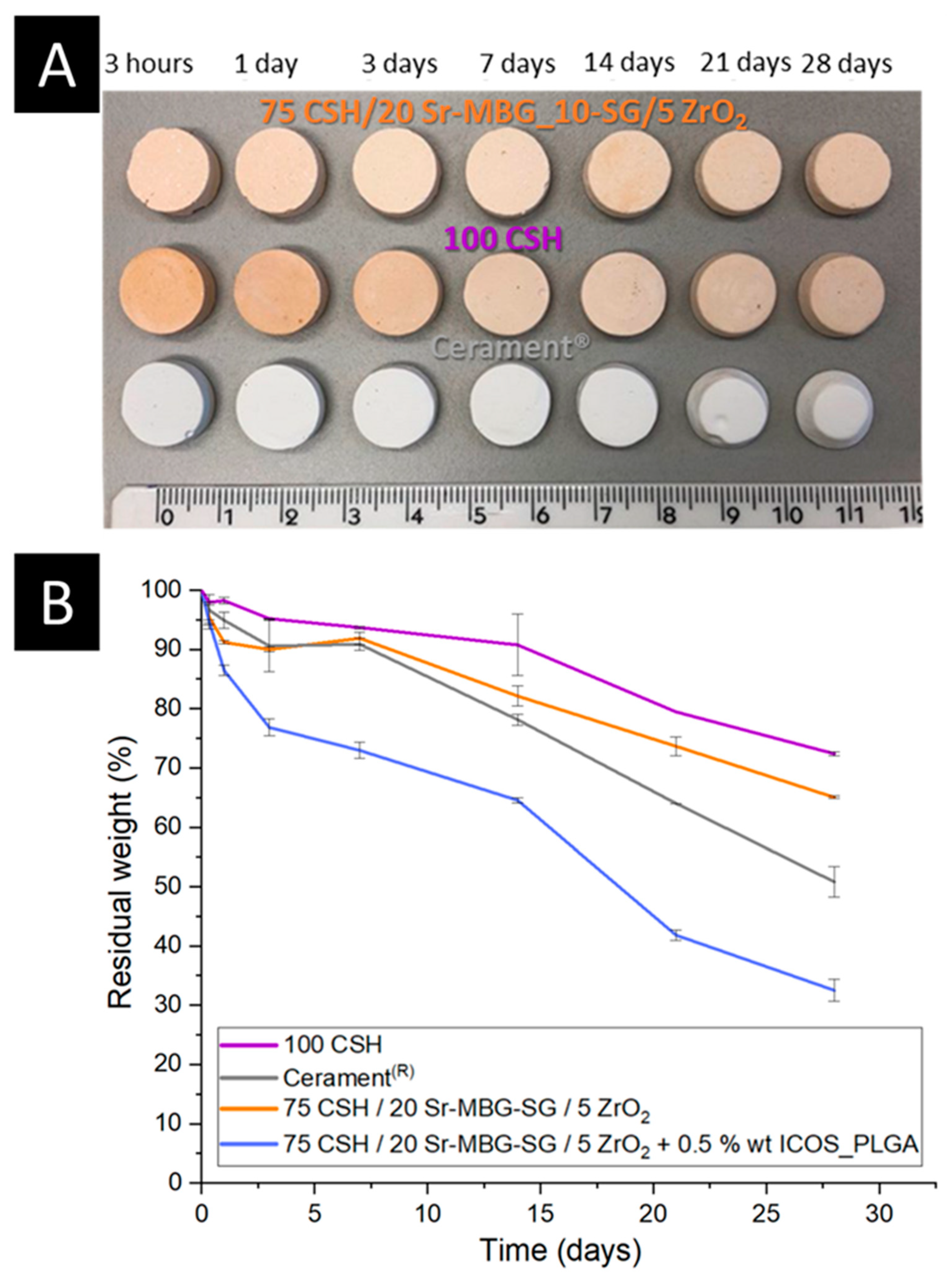 Biomolecules 13 00094 g005