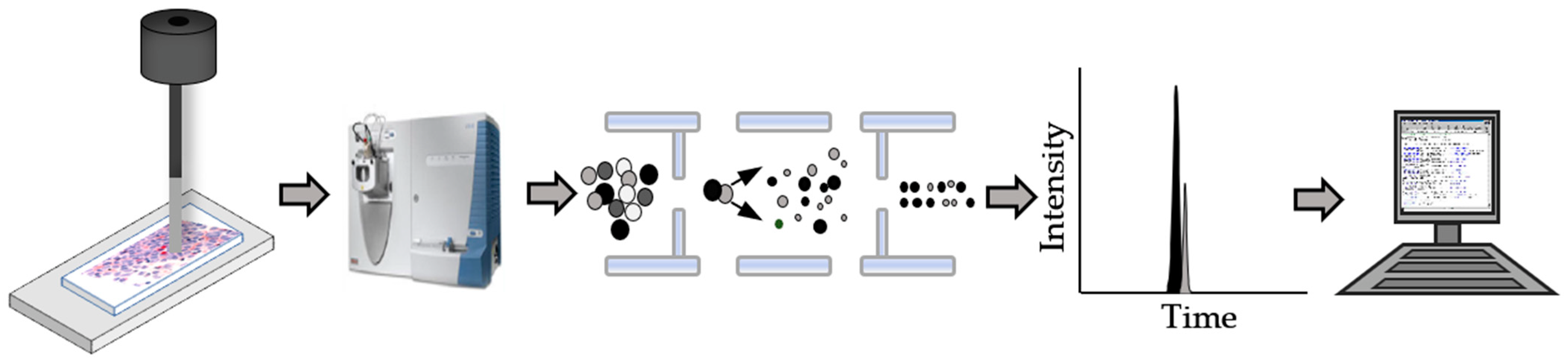 Biomolecules 13 00096 g003