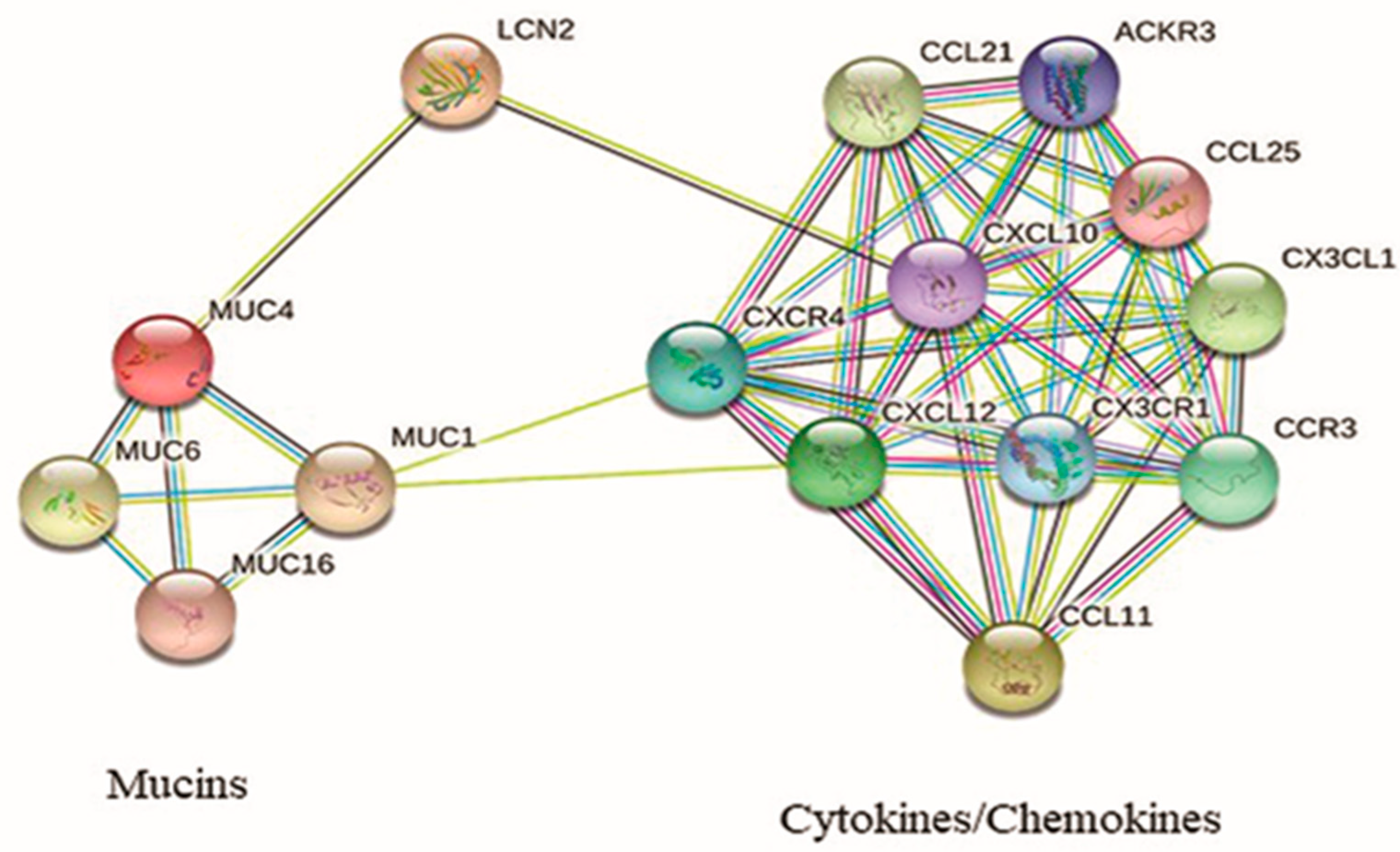 Biomolecules 13 00097 g002