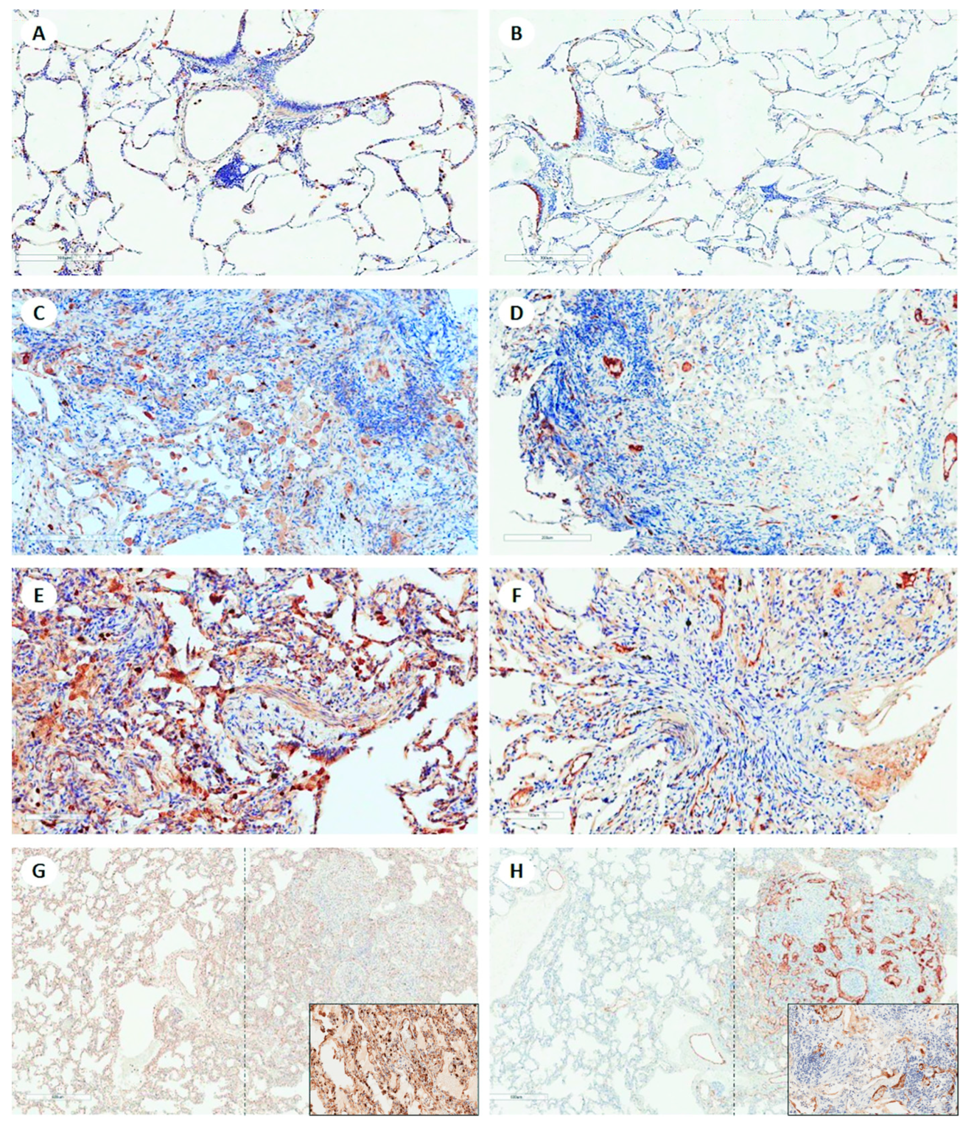 Biomolecules 13 00097 g004