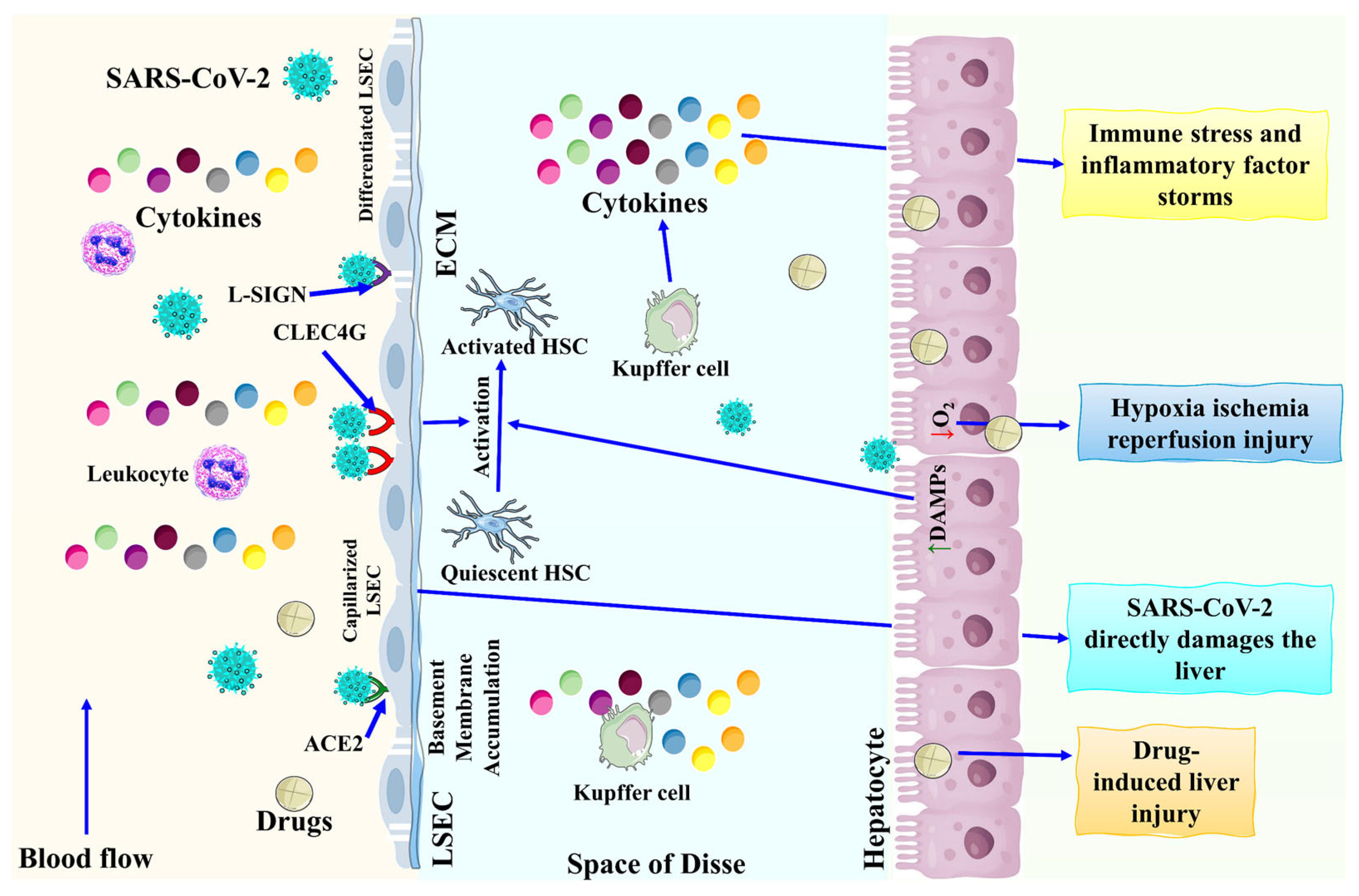 Biomolecules 13 00099 g001