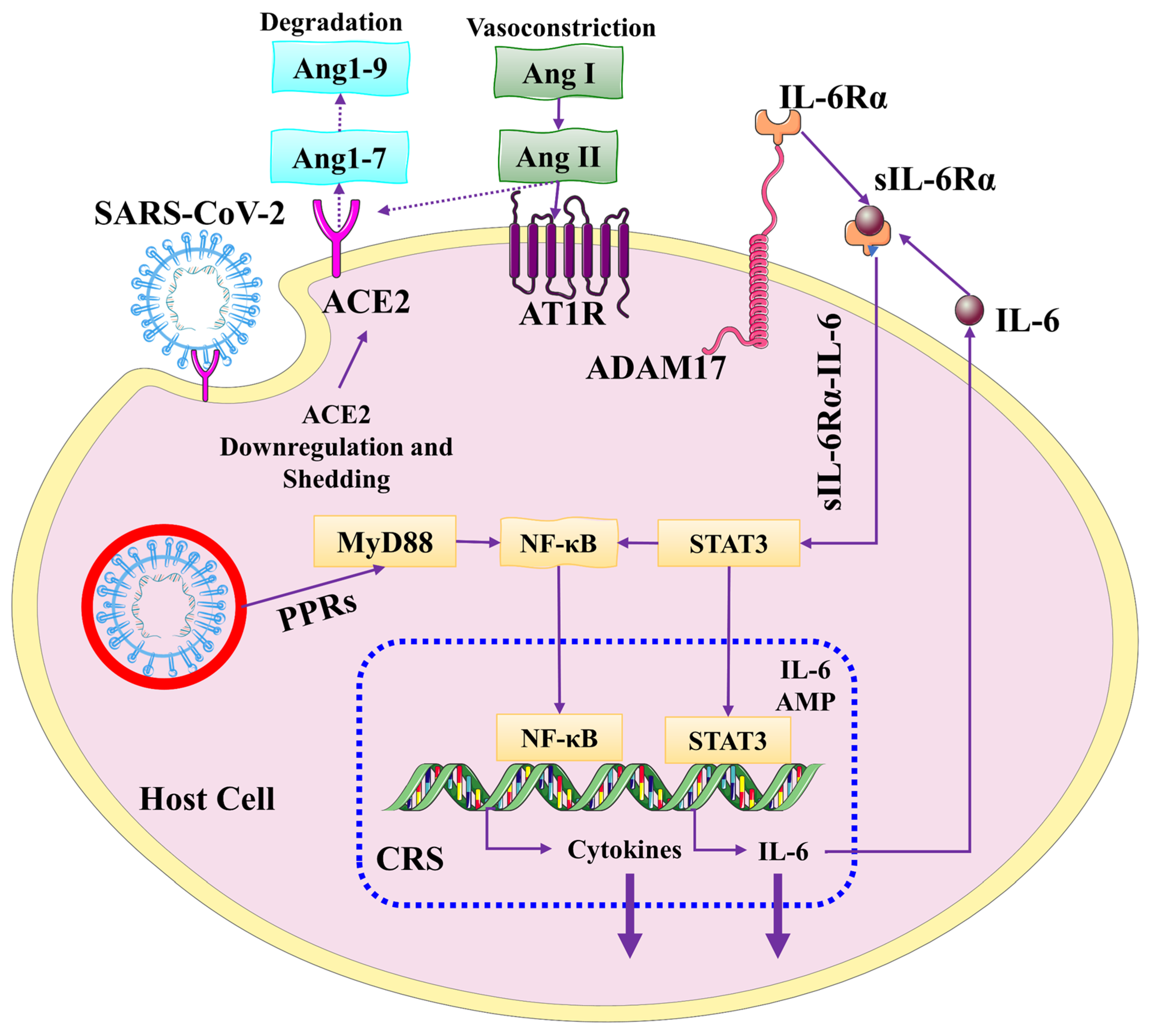 Biomolecules 13 00099 g002