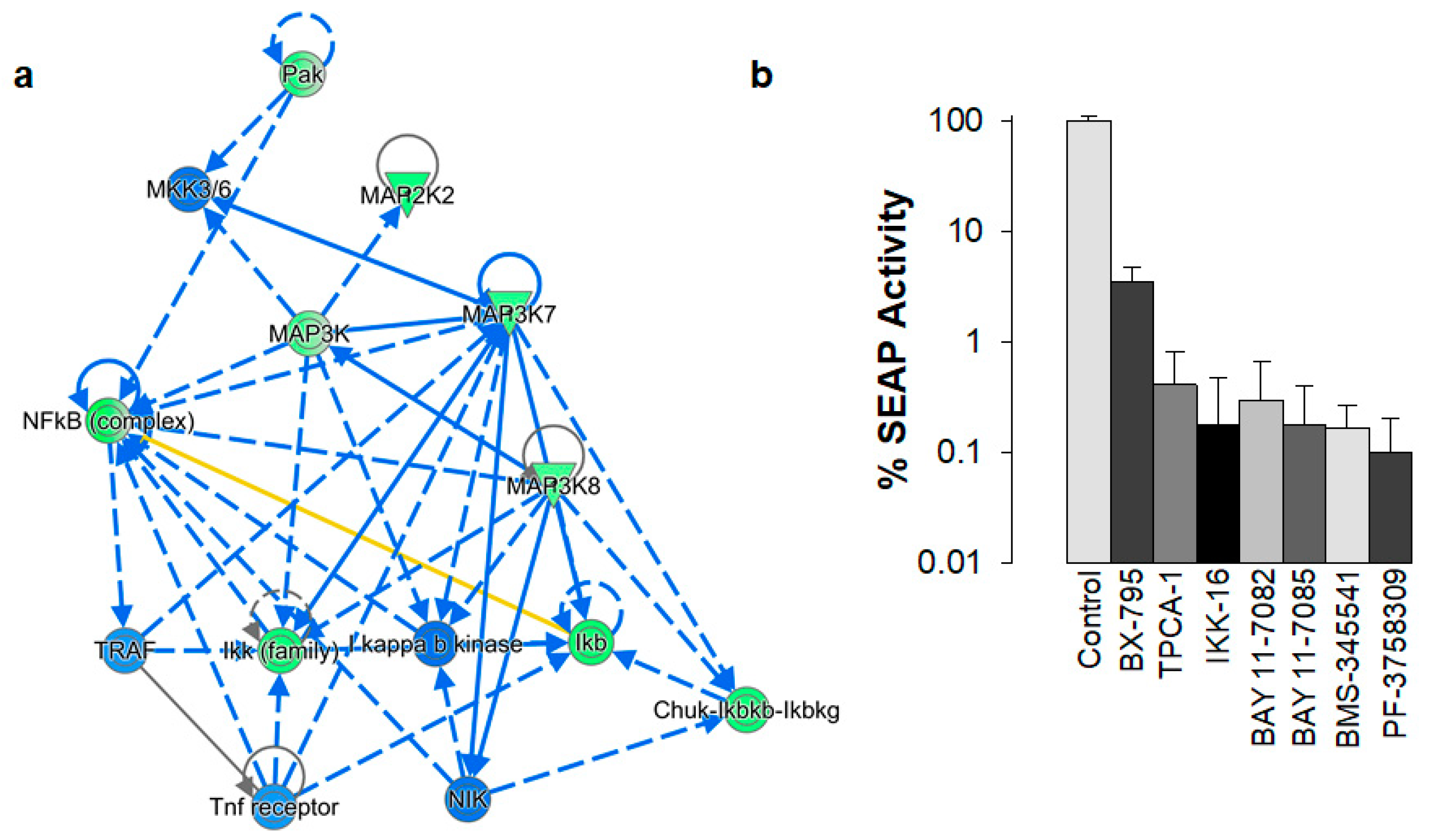 Biomolecules 13 00100 g005