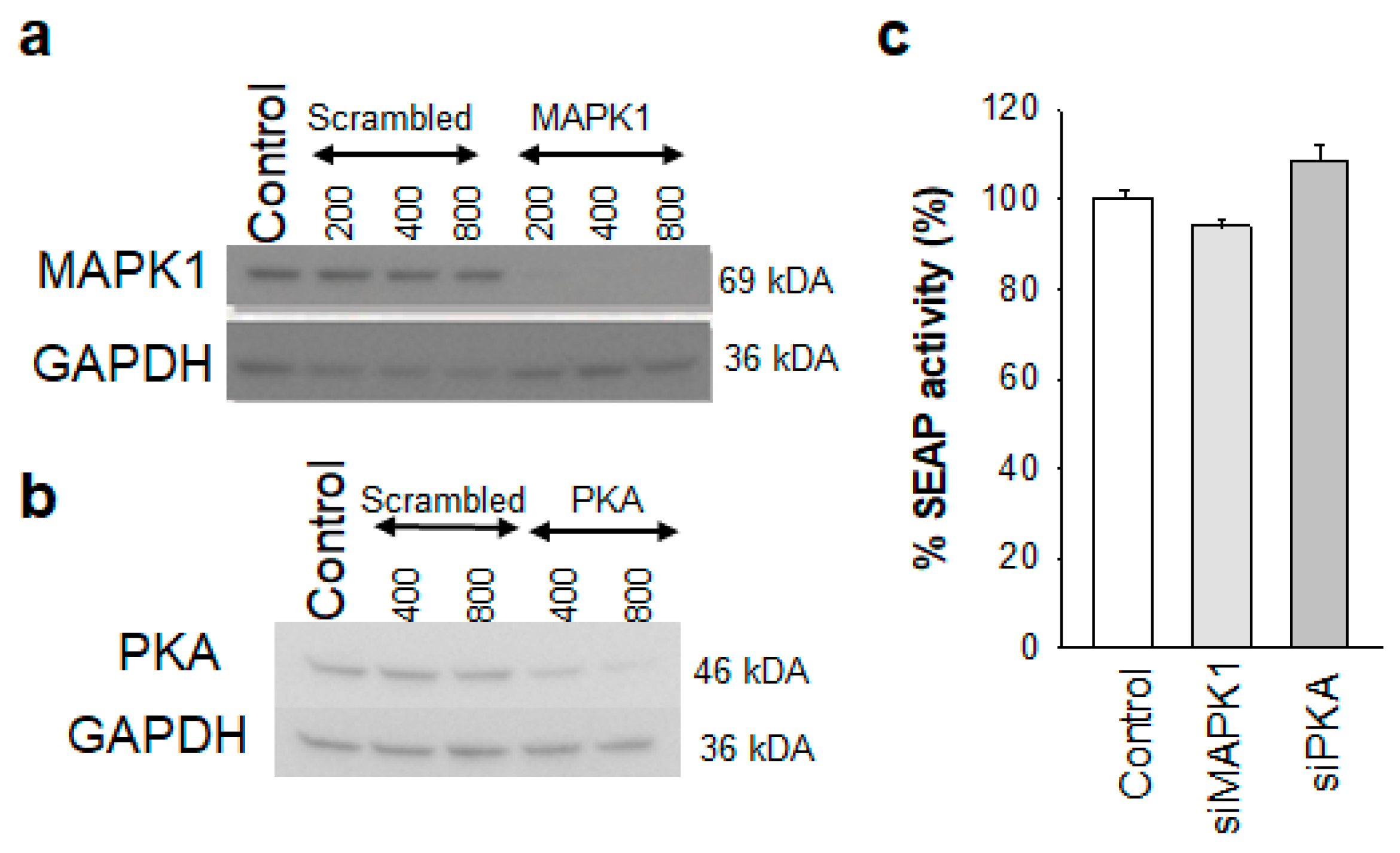 Biomolecules 13 00100 g007
