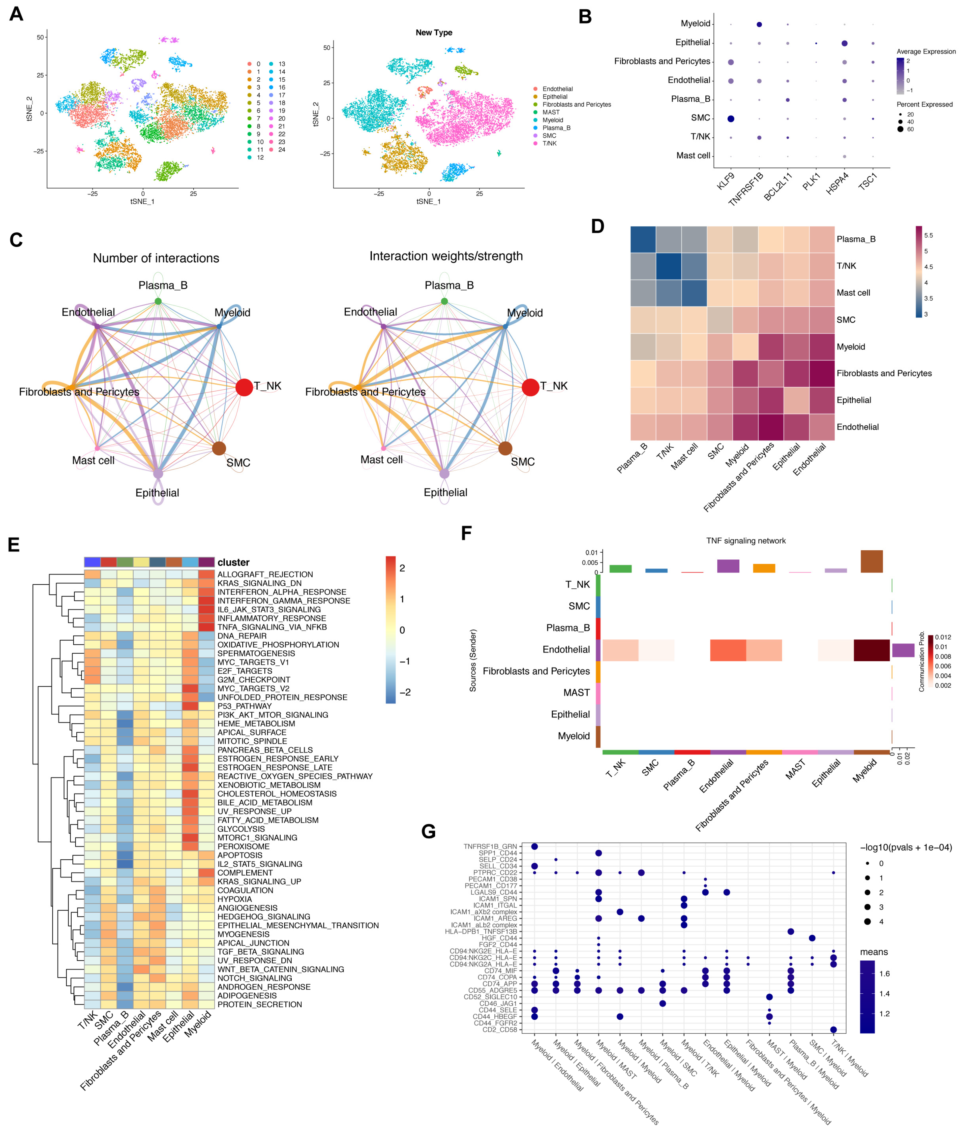 Biomolecules 13 00101 g006 Biomolecules 13 00101 g006