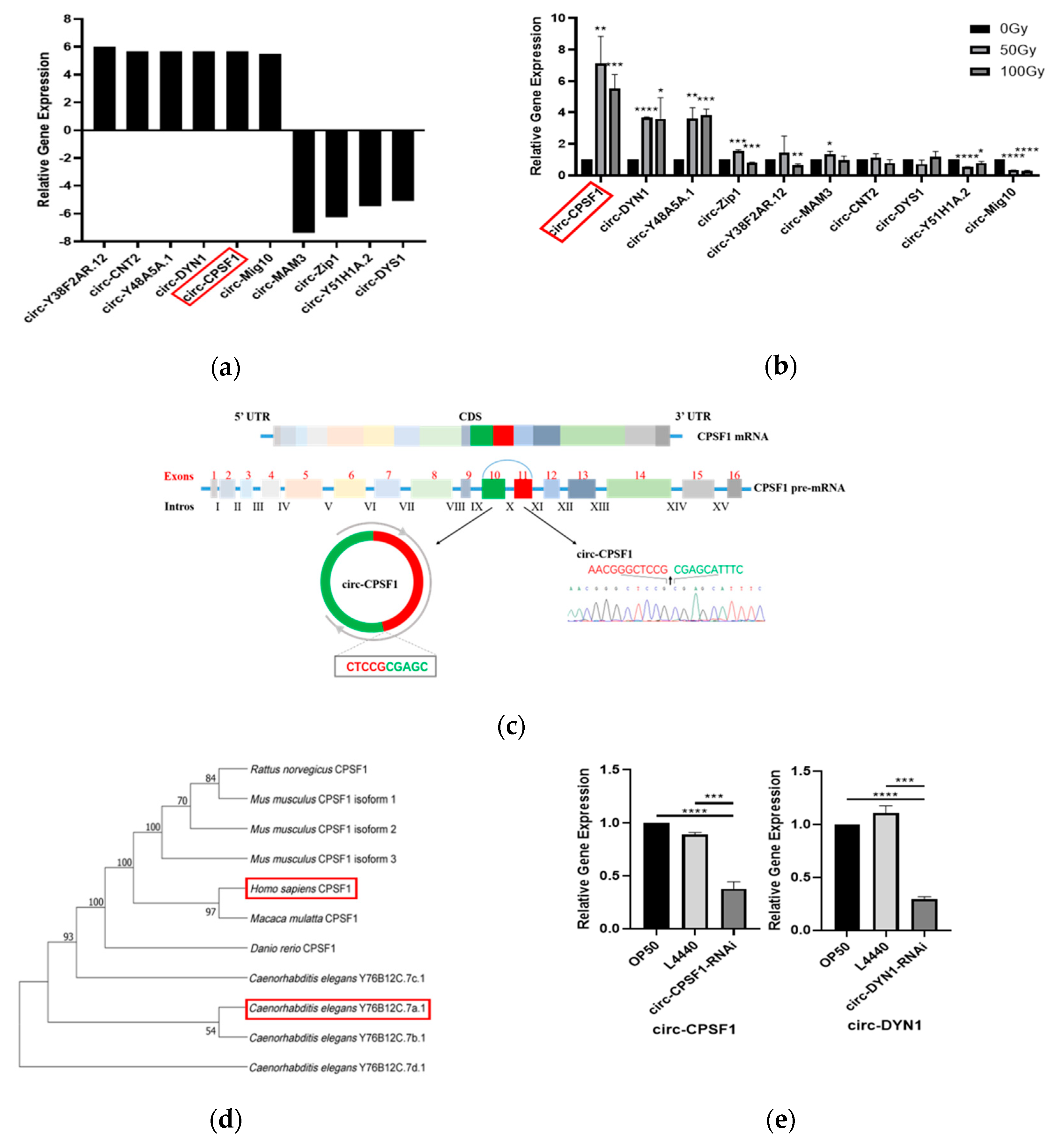 Biomolecules 13 00102 g002