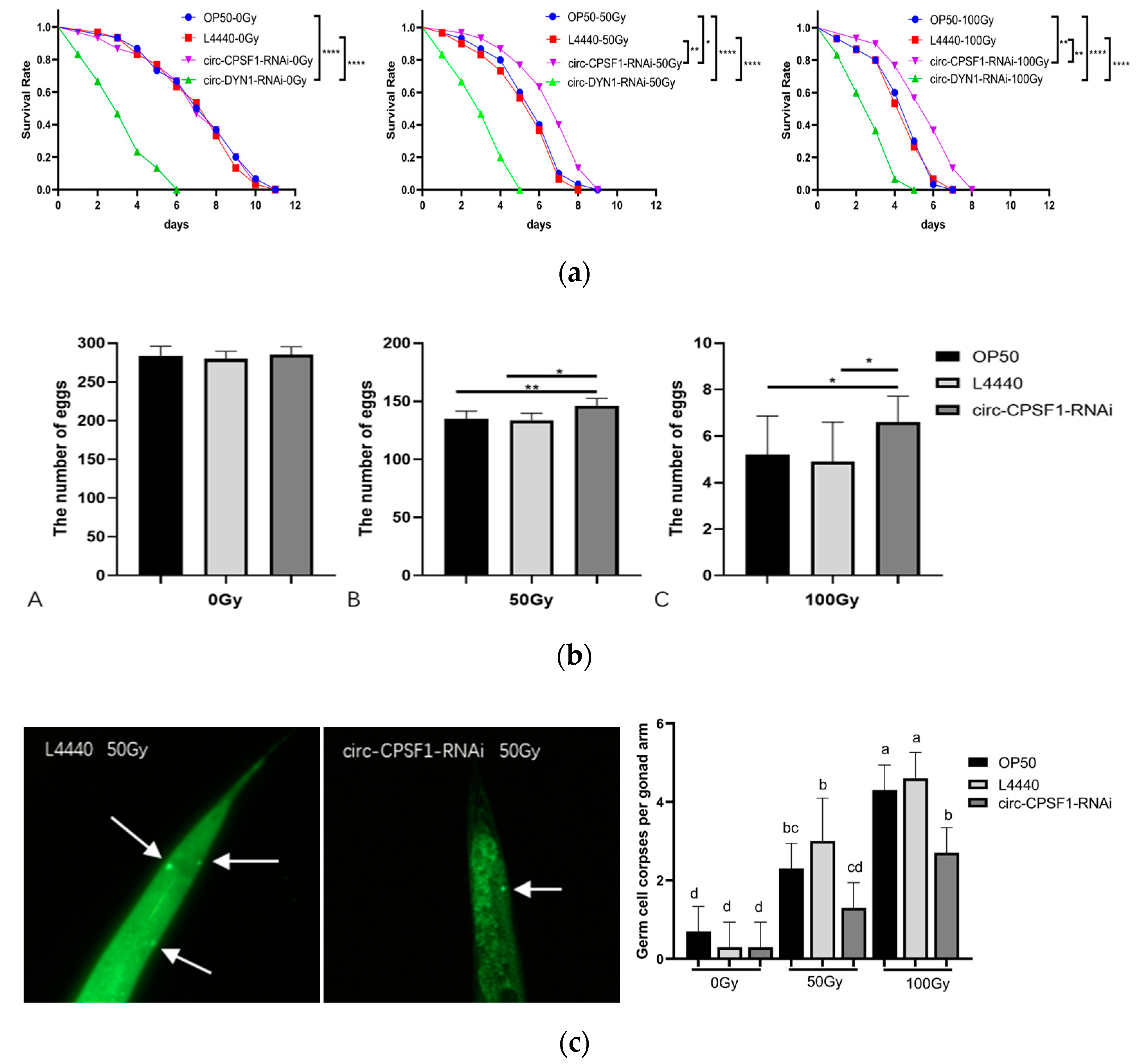 Biomolecules 13 00102 g003