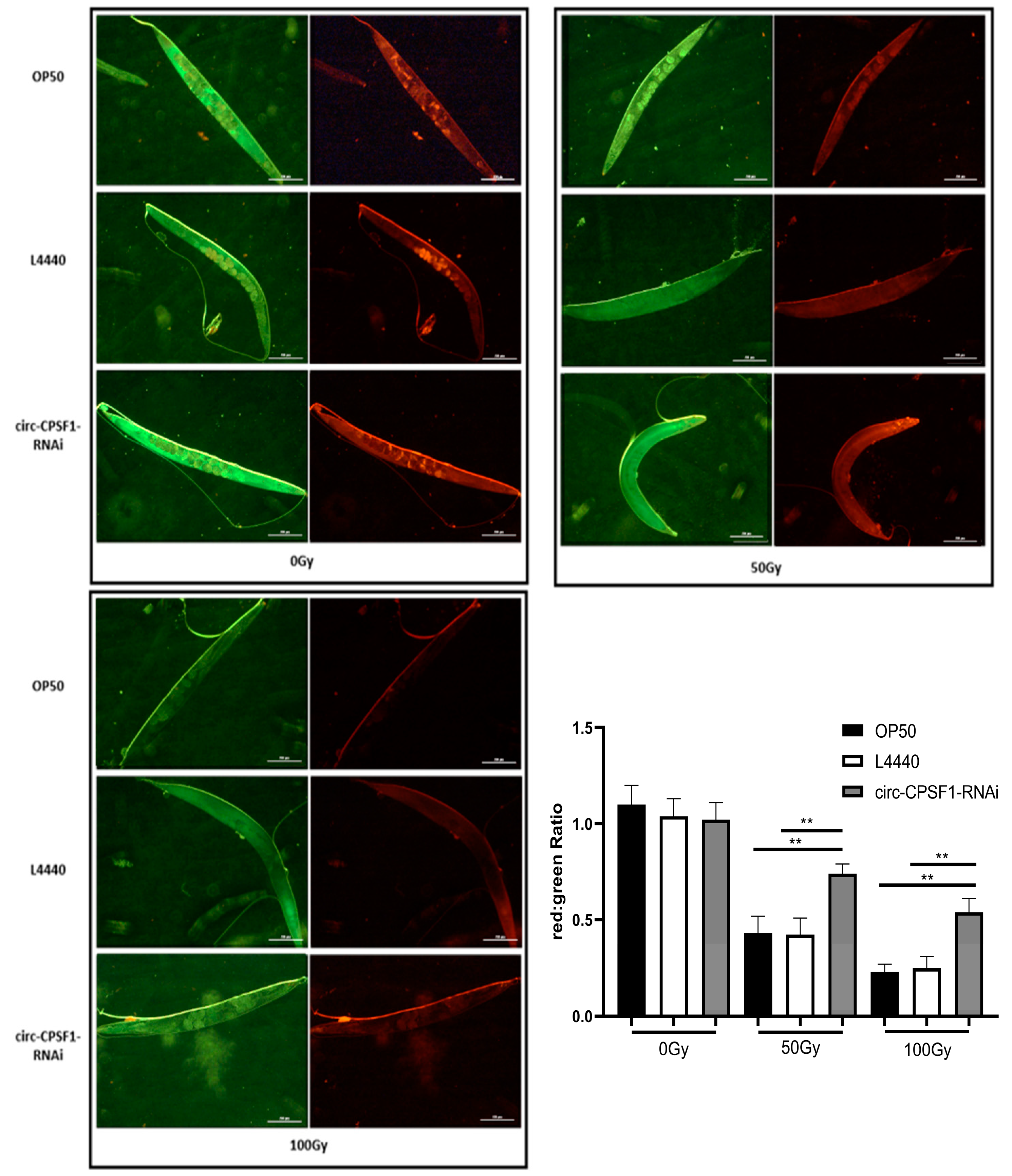 Biomolecules 13 00102 g005