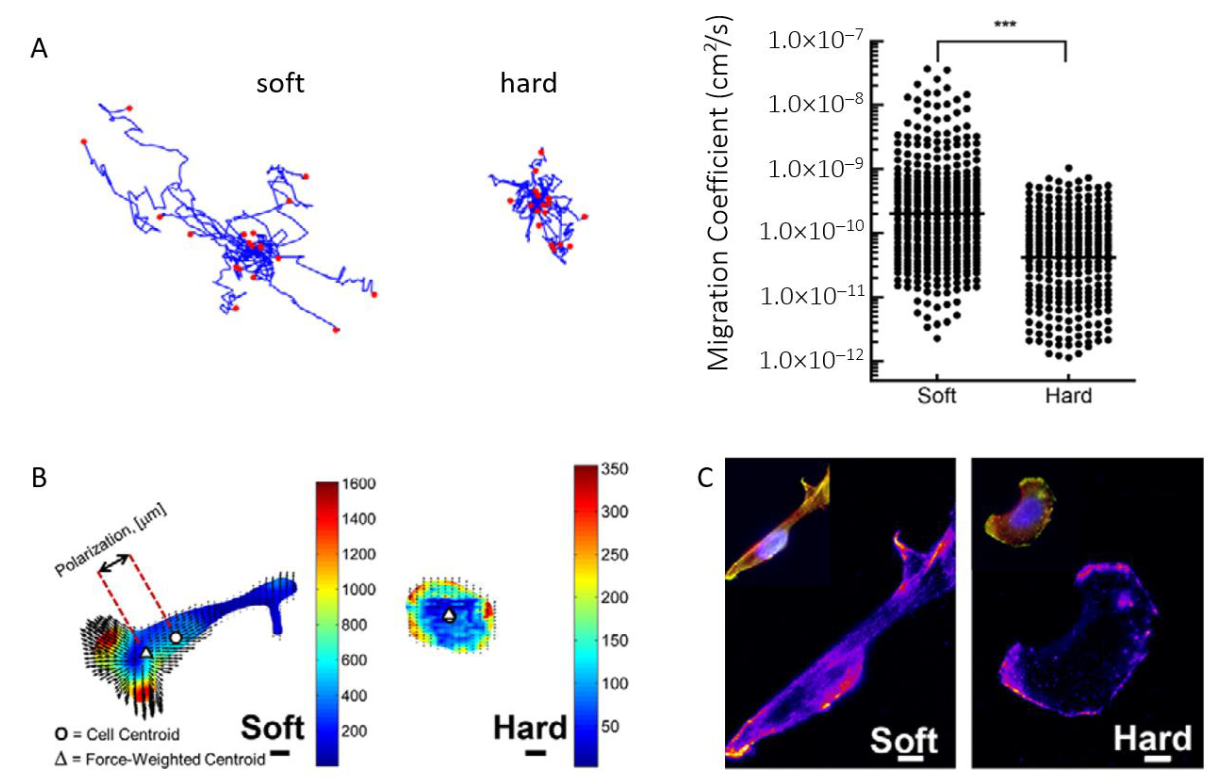 Biomolecules 13 00103 g003