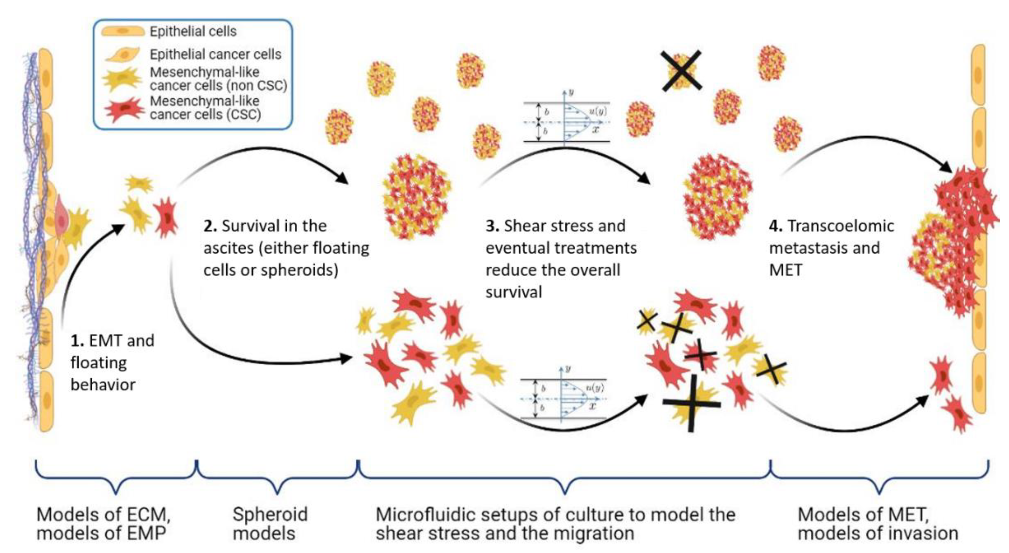Biomolecules 13 00103 g005