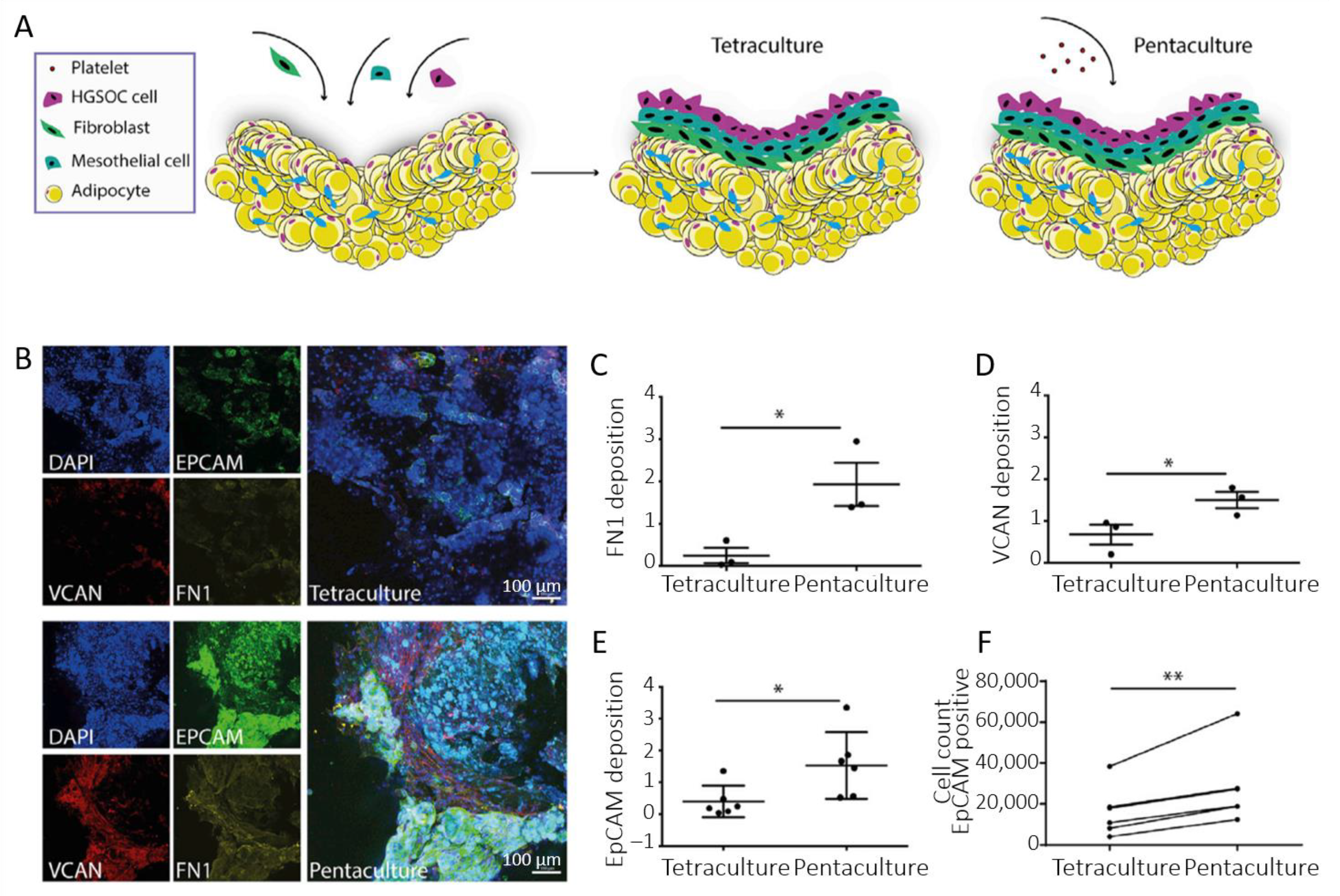 Biomolecules 13 00103 g006