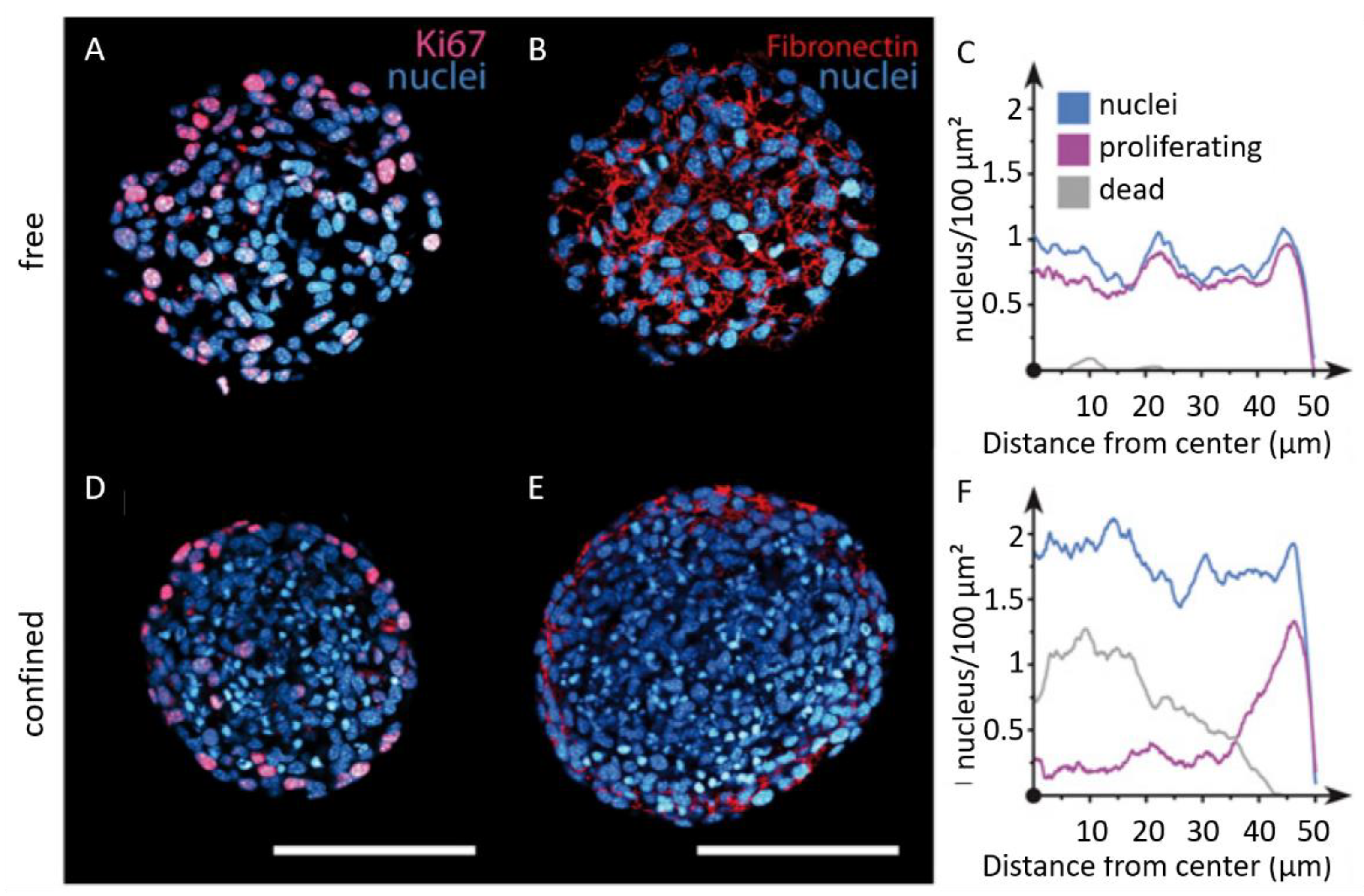 Biomolecules 13 00103 g008