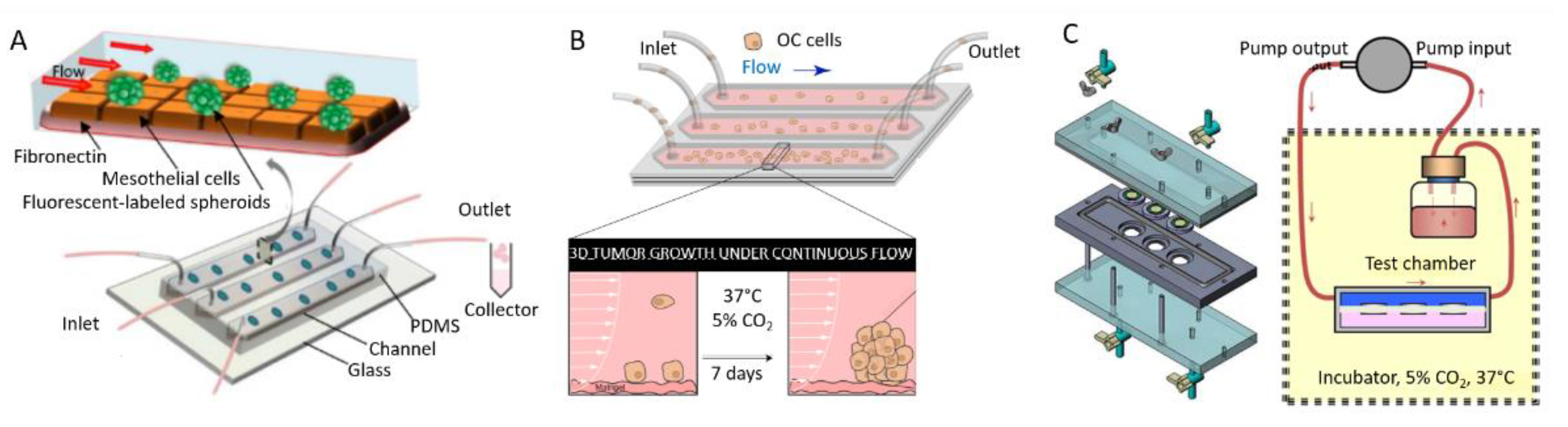 Biomolecules 13 00103 g010