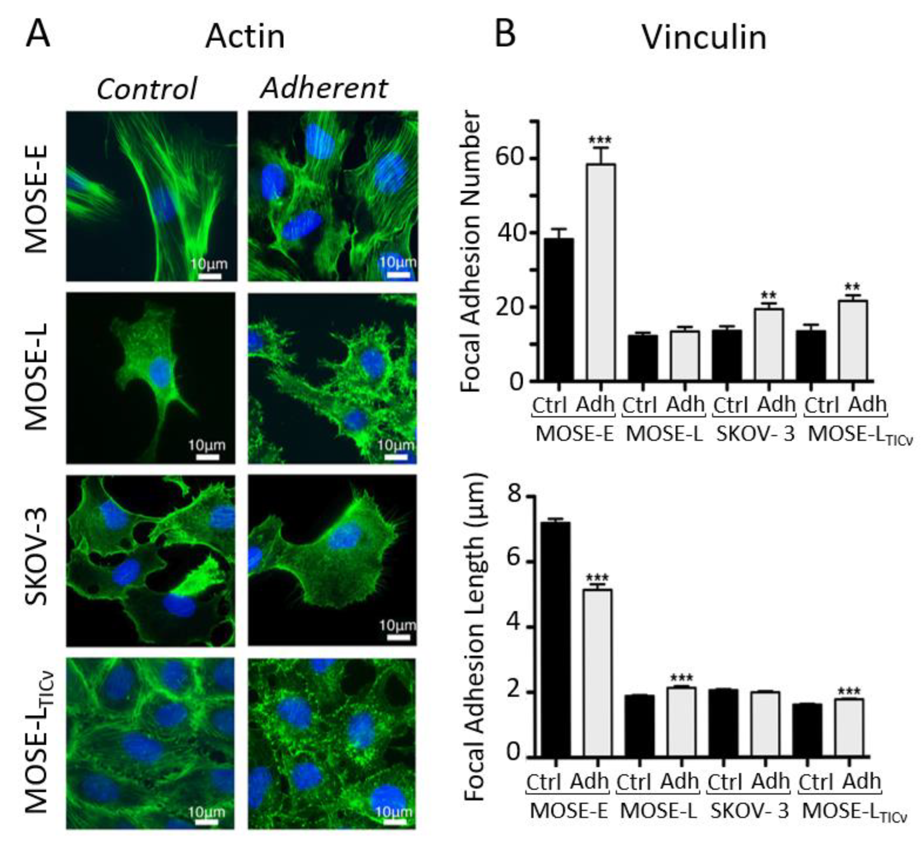 Biomolecules 13 00103 g011