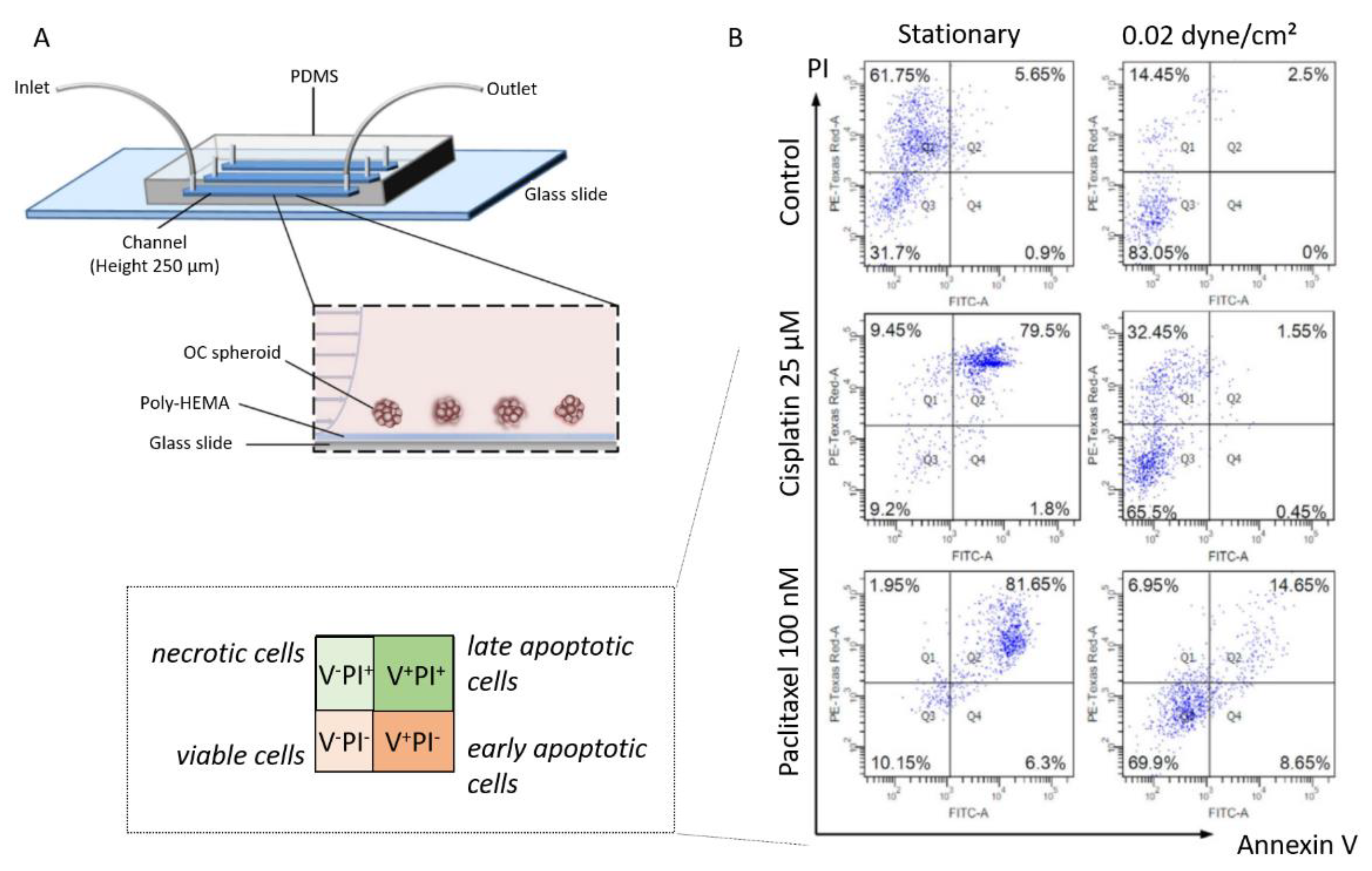 Biomolecules 13 00103 g012