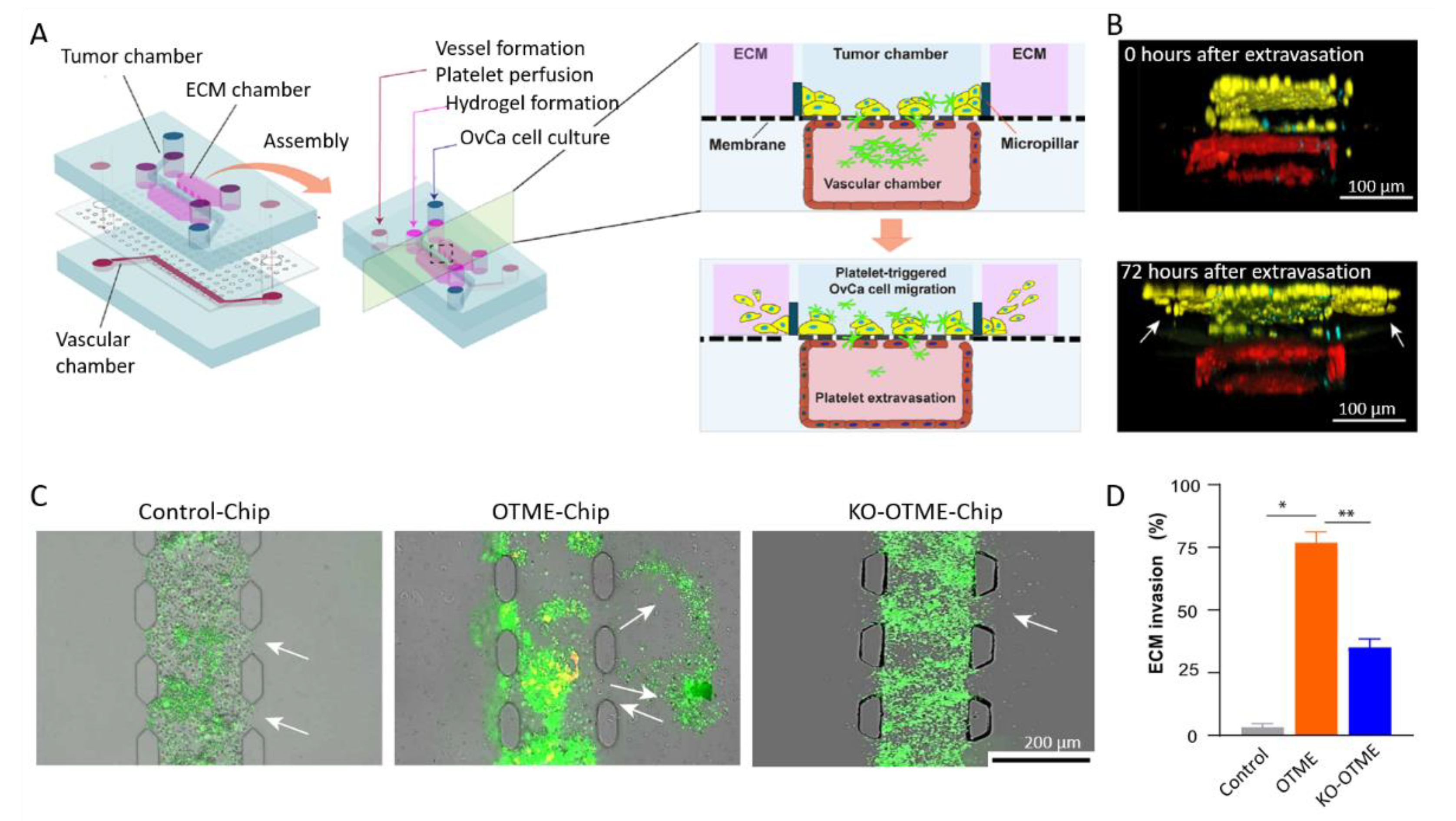 Biomolecules 13 00103 g013