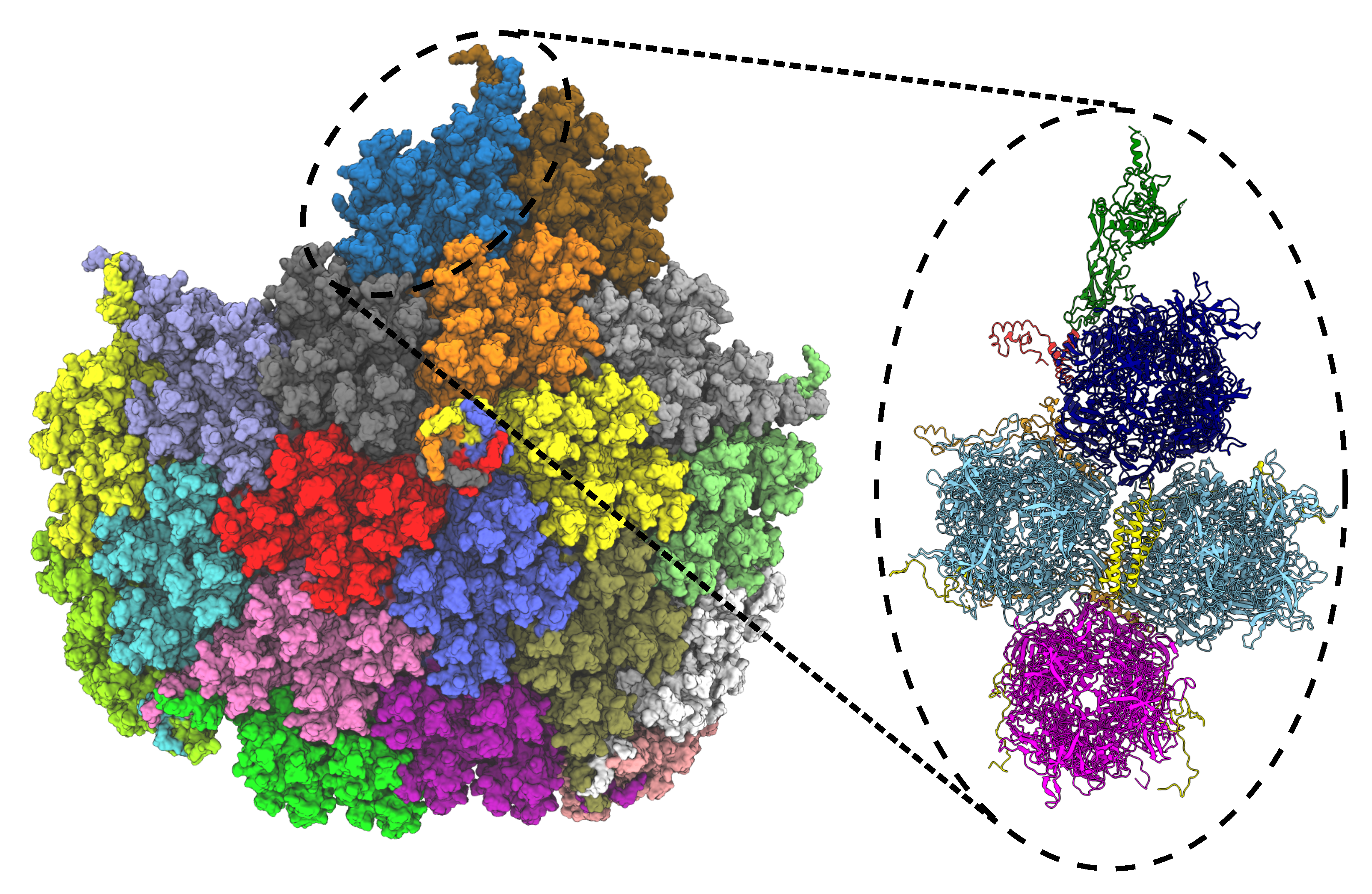 Biomolecules 13 00107 g005