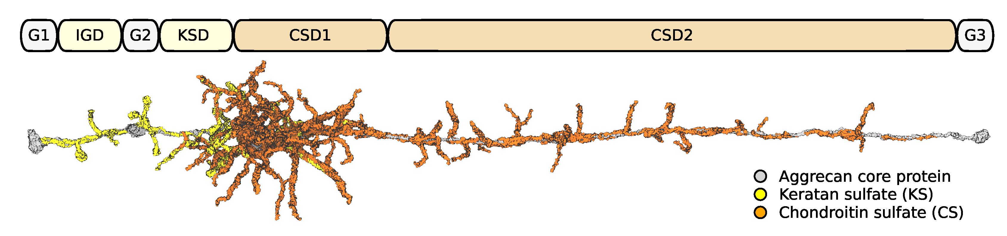 Biomolecules 13 00107 g006