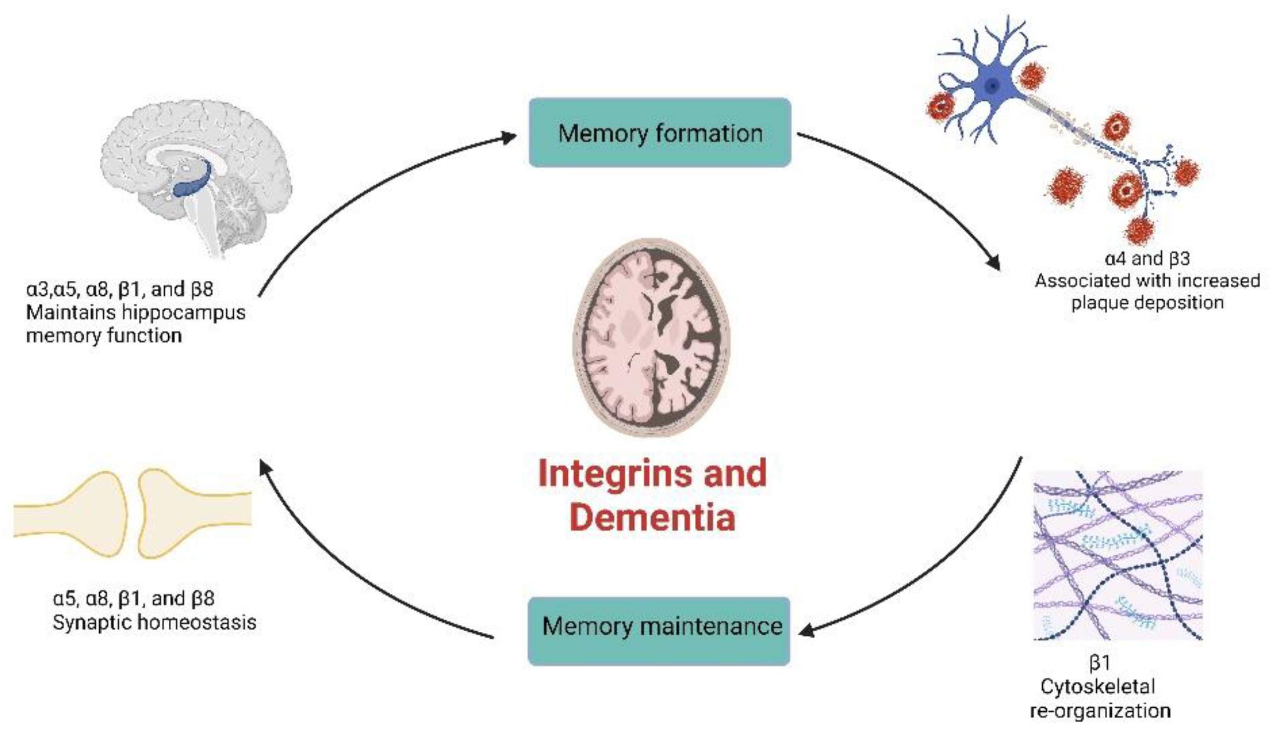 Biomolecules 13 00108 g001