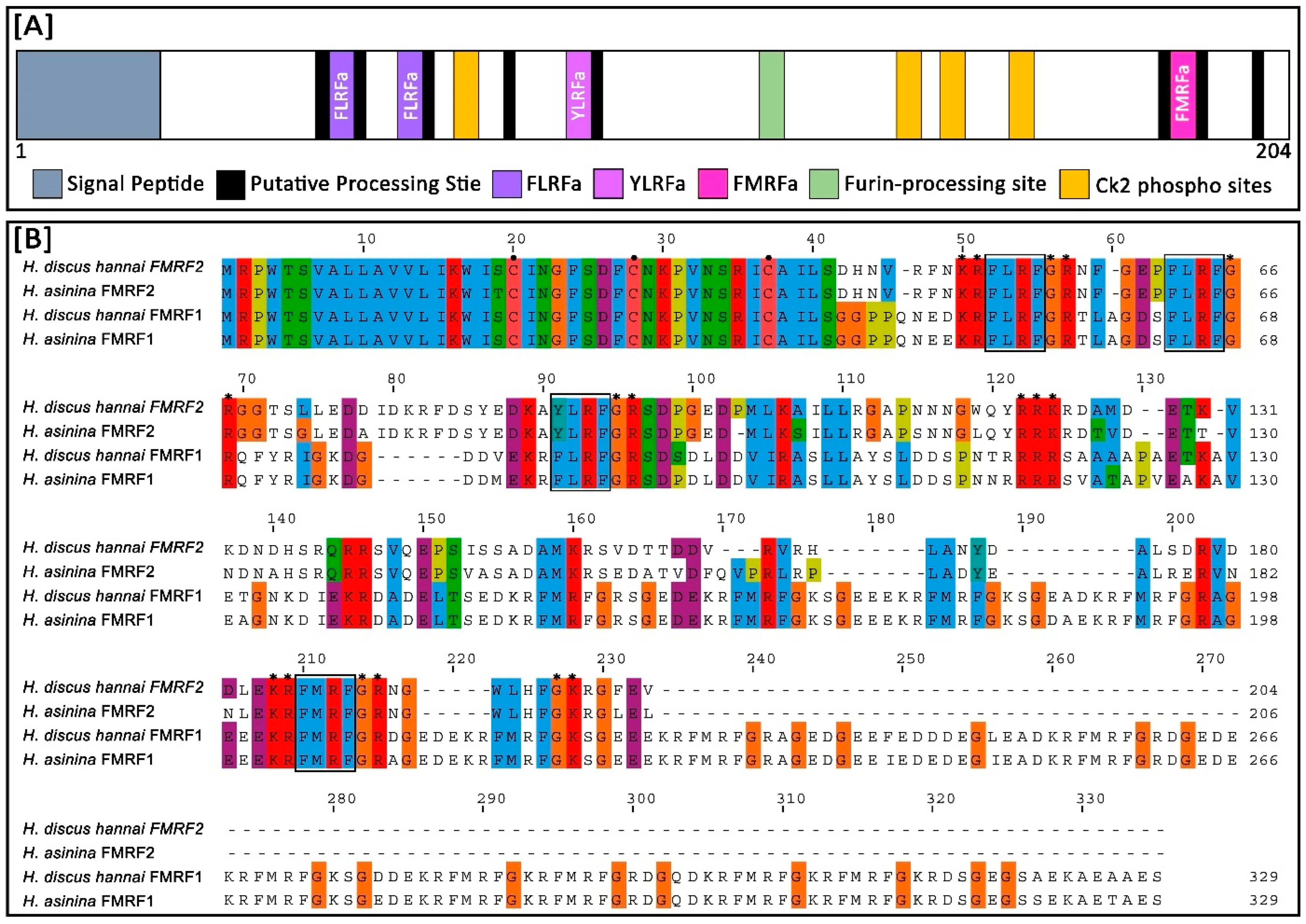Biomolecules 13 00109 g002 Biomolecules 13 00109 g002