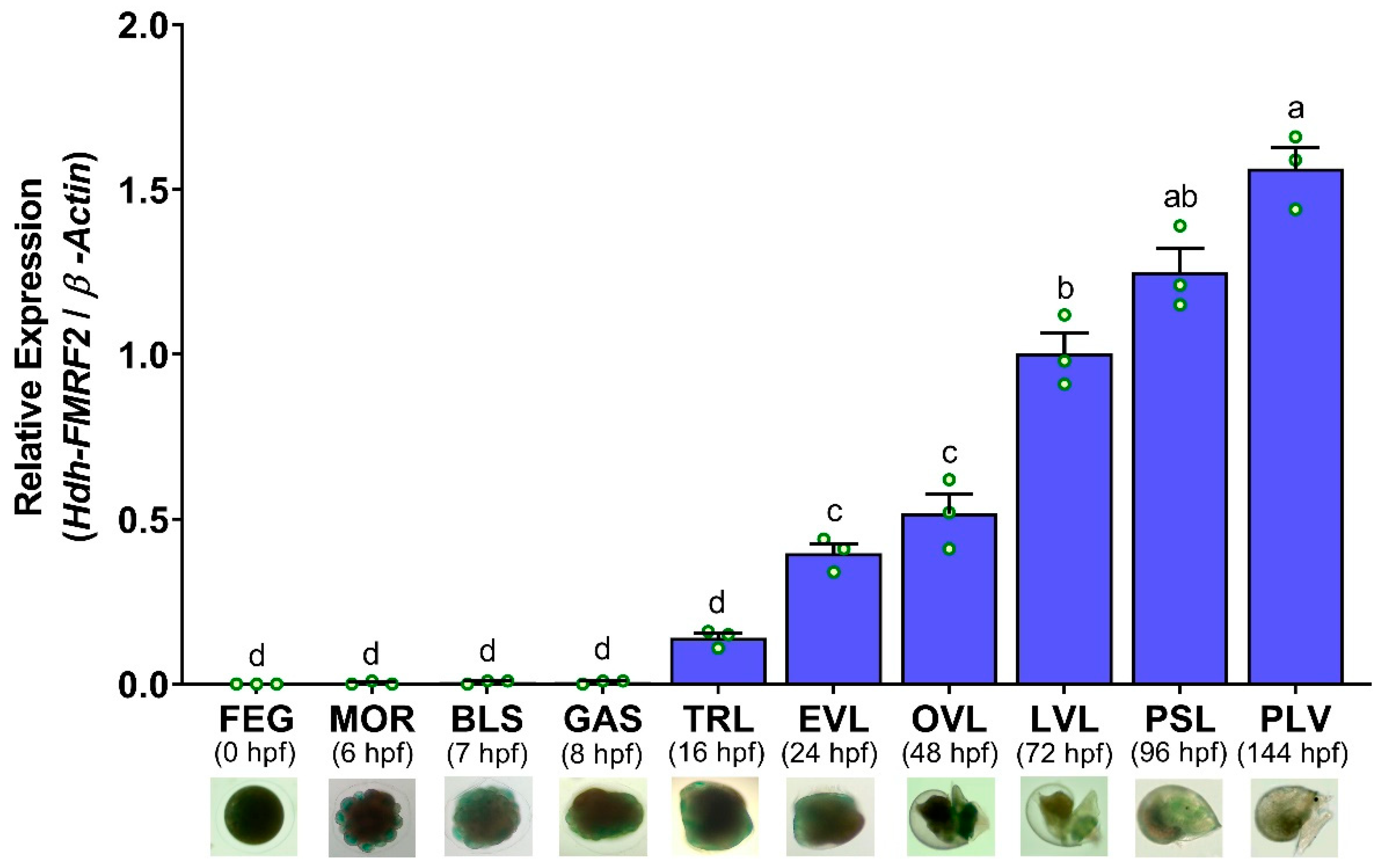 Biomolecules 13 00109 g011 Biomolecules 13 00109 g011