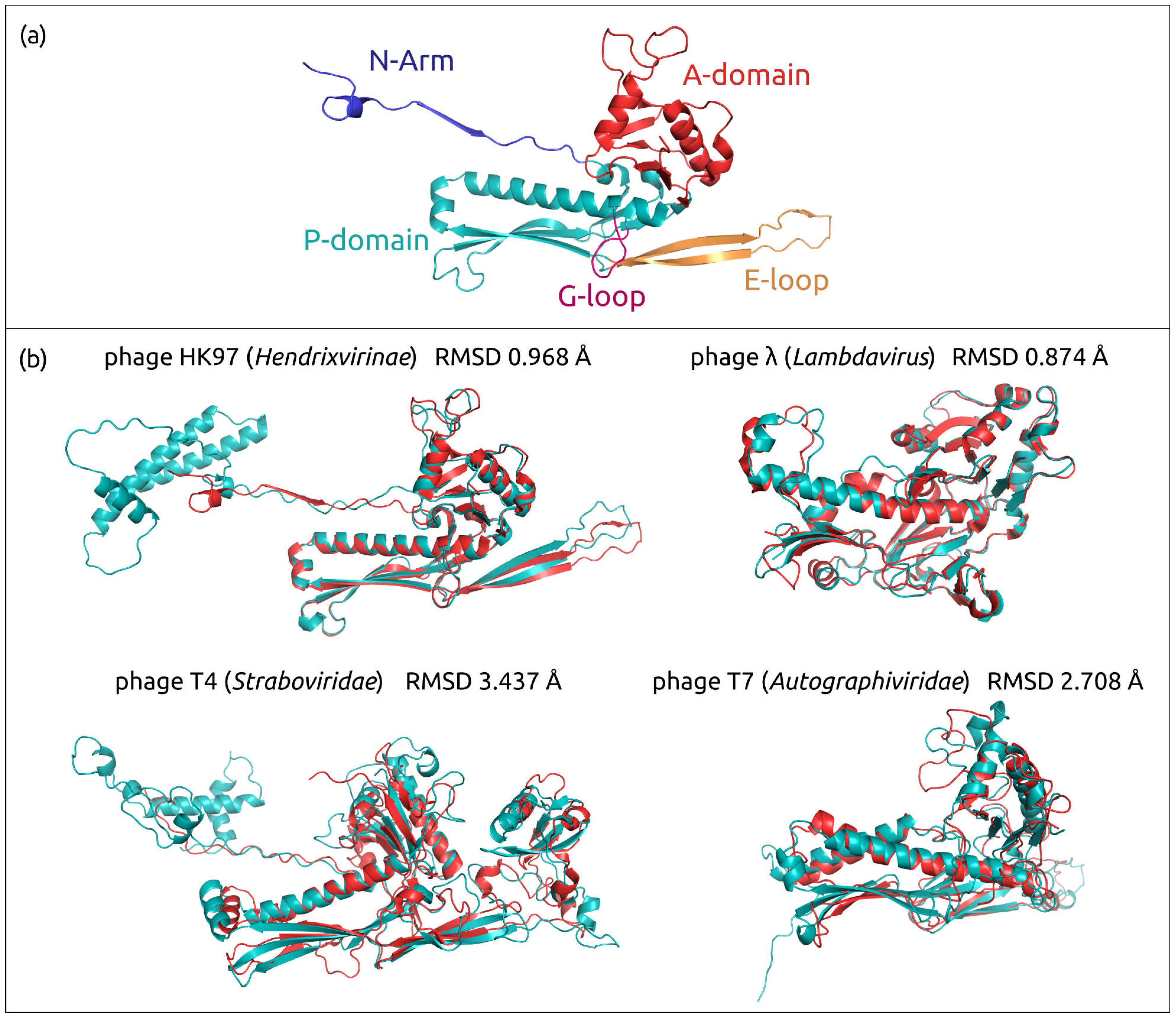Biomolecules 13 00110 g003