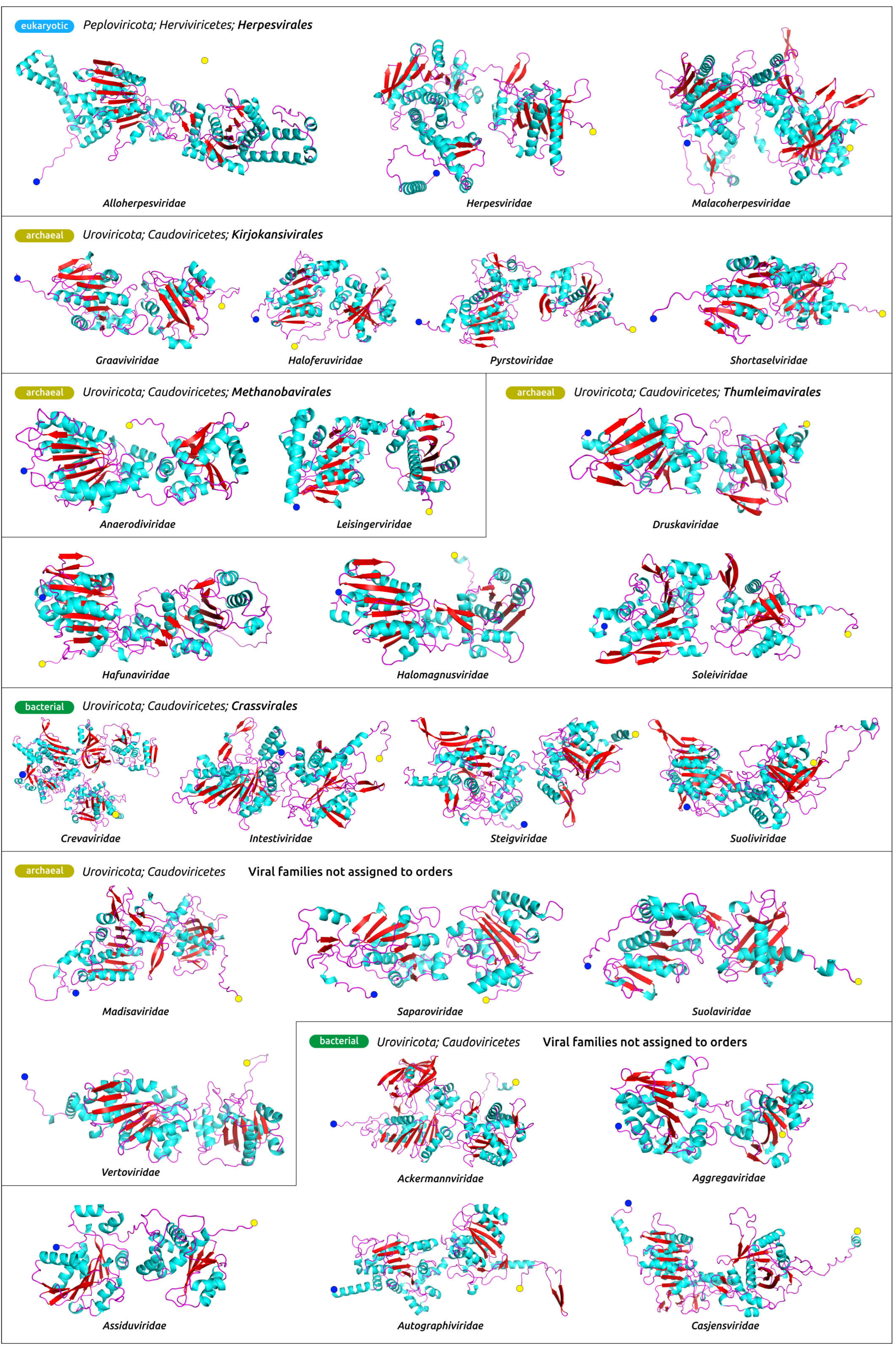 Biomolecules 13 00110 g004