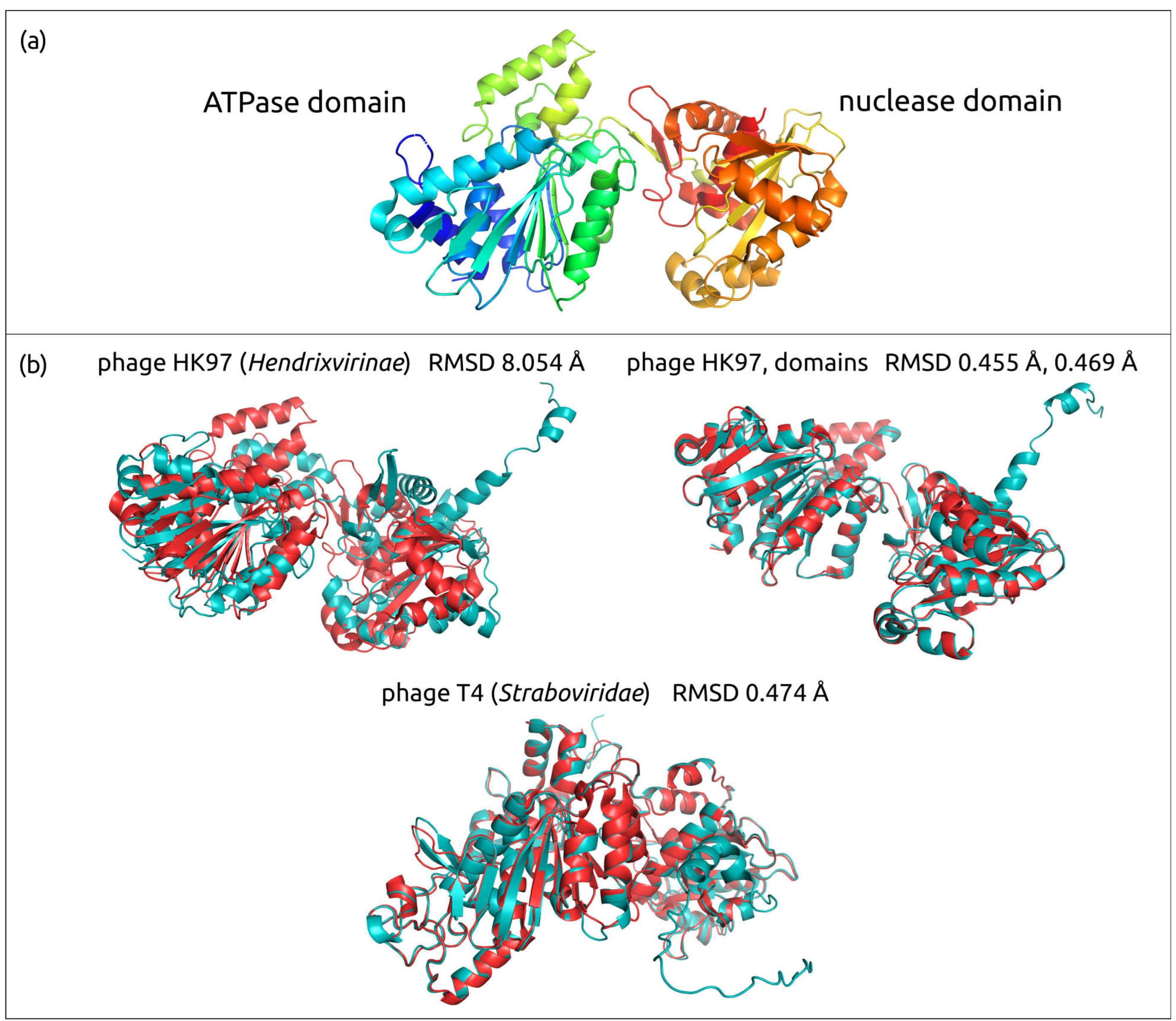 Biomolecules 13 00110 g005