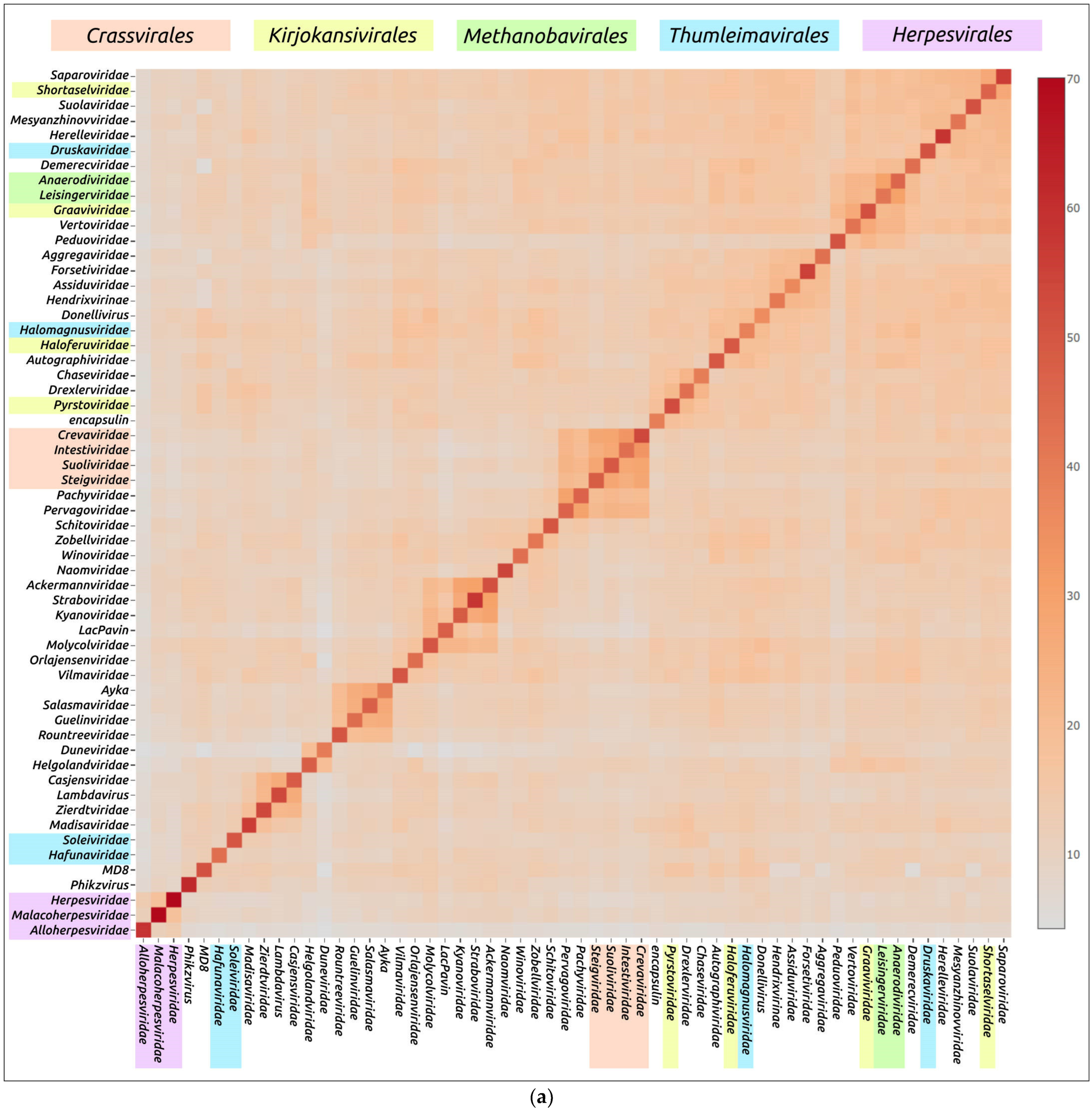 Biomolecules 13 00110 g007a