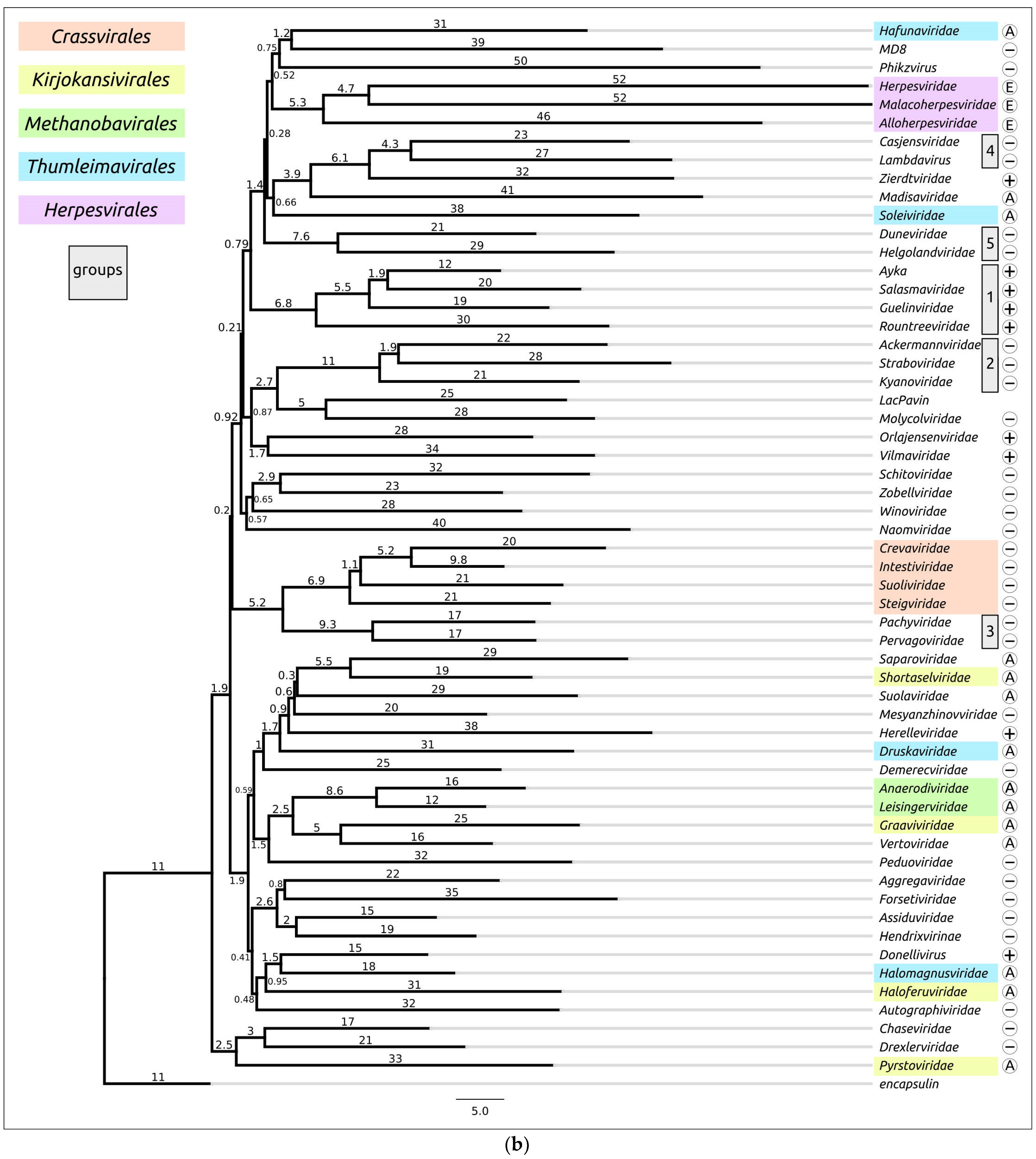 Biomolecules 13 00110 g007b