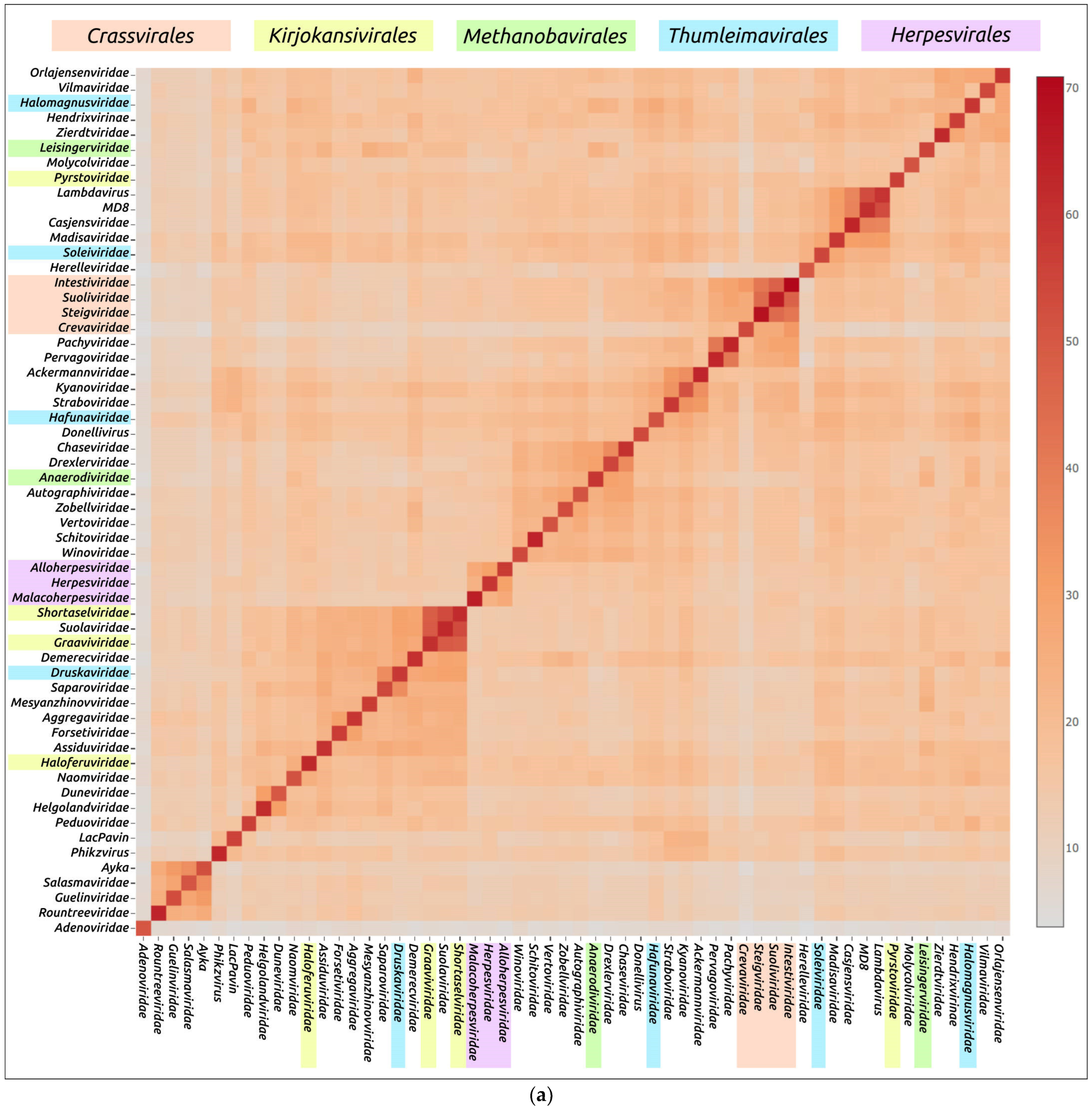 Biomolecules 13 00110 g008a