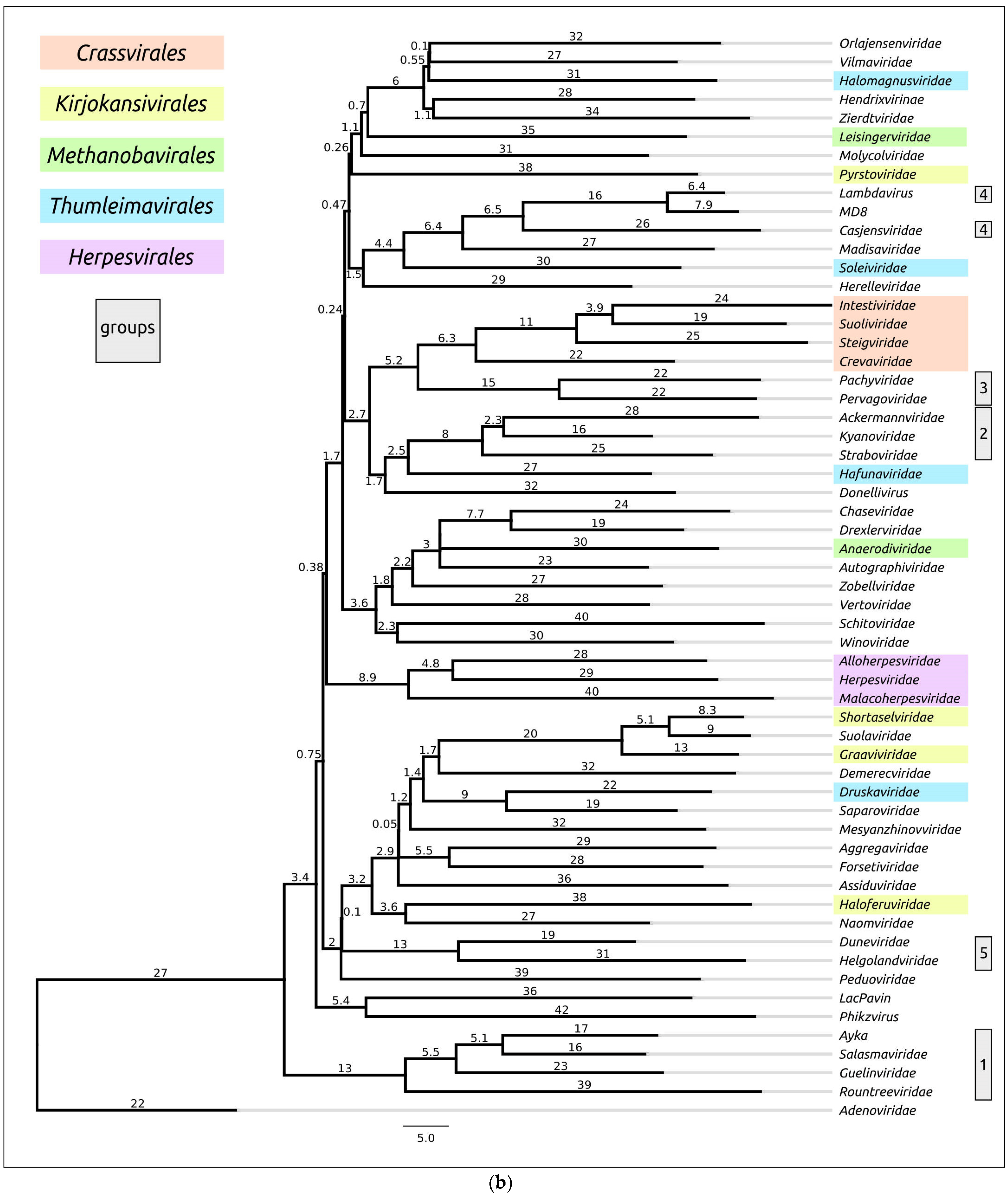 Biomolecules 13 00110 g008b