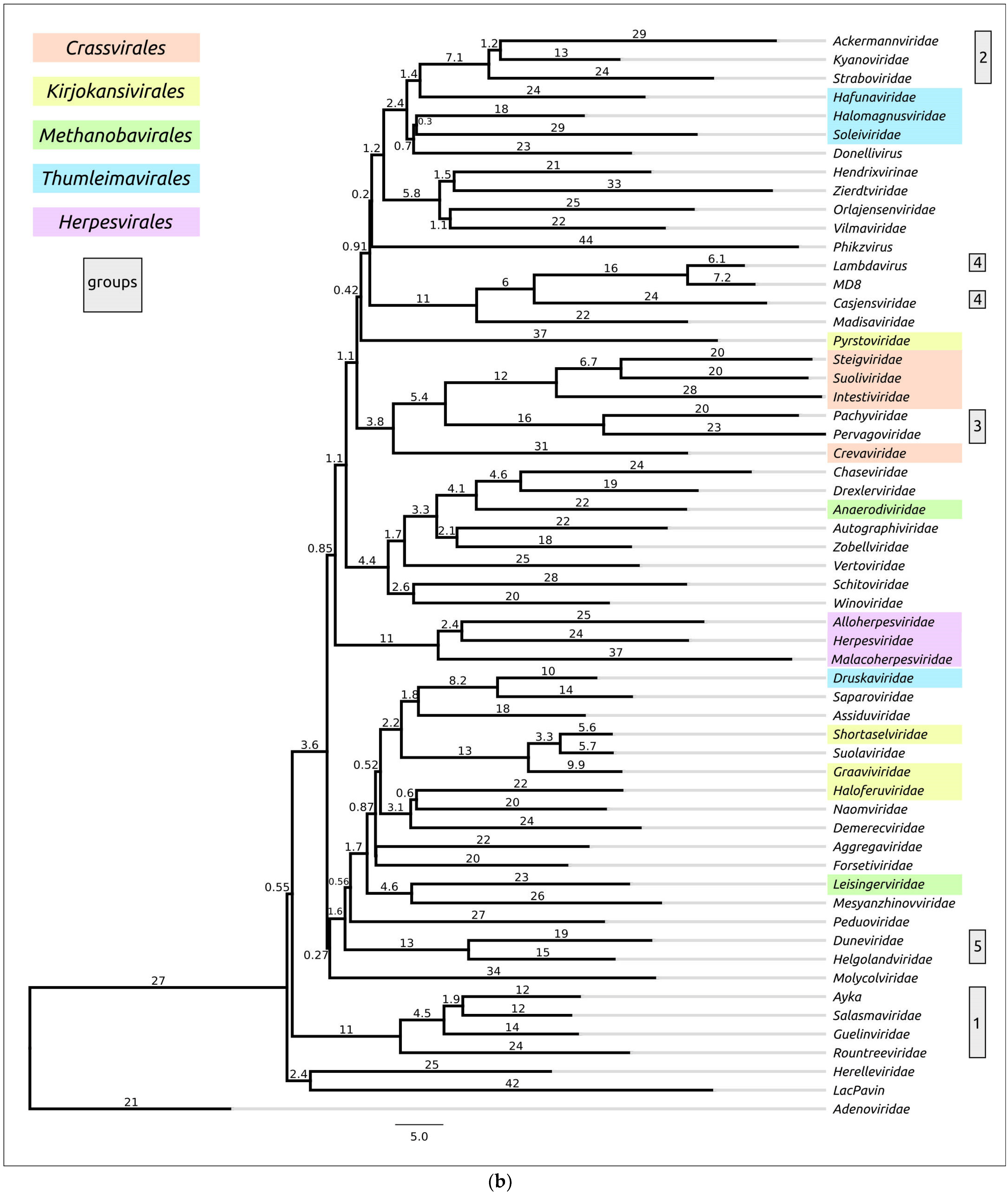 Biomolecules 13 00110 g009b