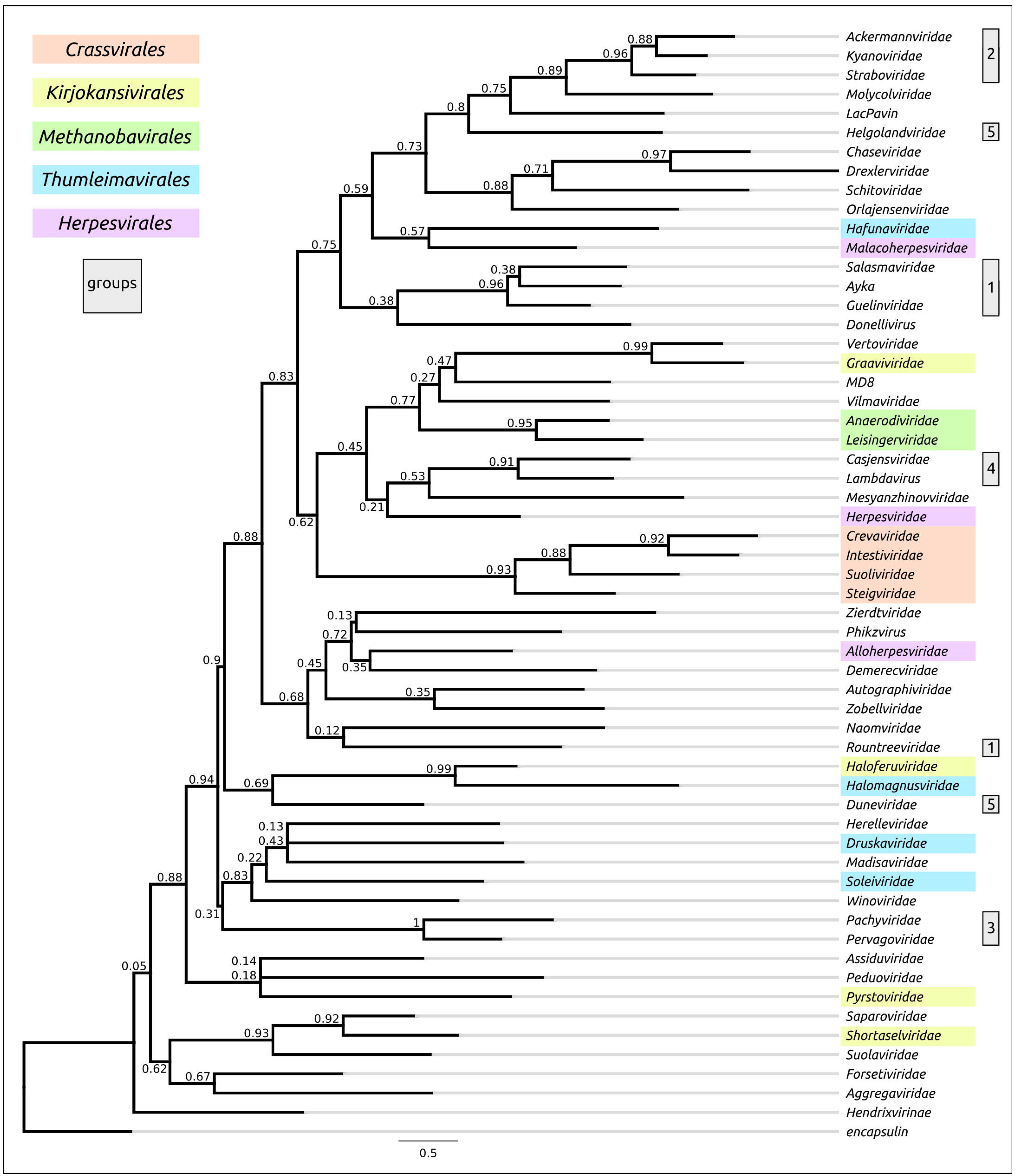 Biomolecules 13 00110 g010