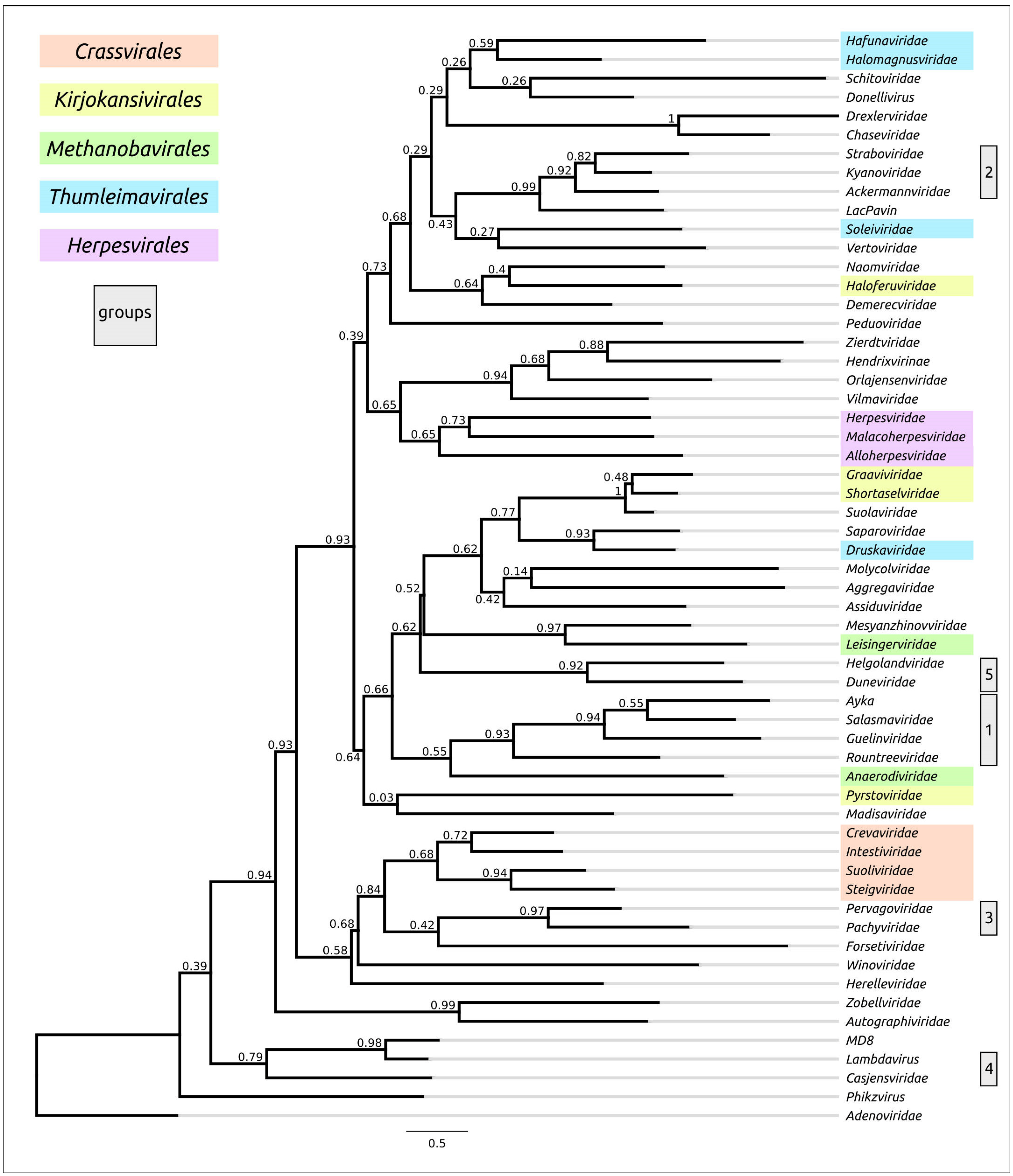 Biomolecules 13 00110 g011