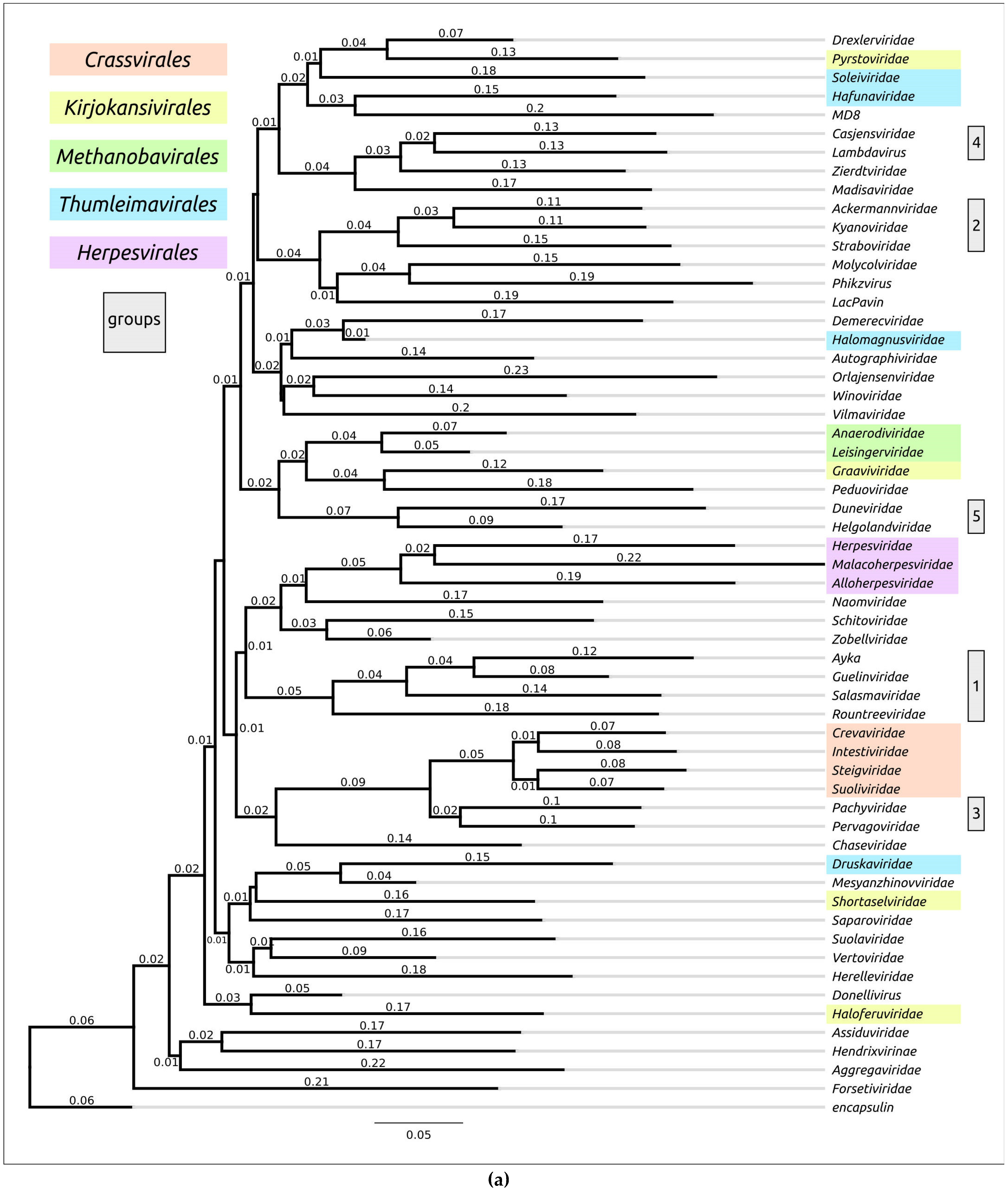 Biomolecules 13 00110 g0a1a
