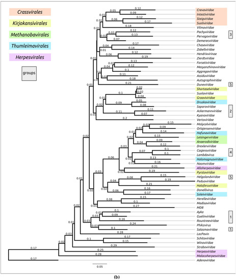 Biomolecules 13 00110 g0a1b Biomolecules 13 00110 g0a1b