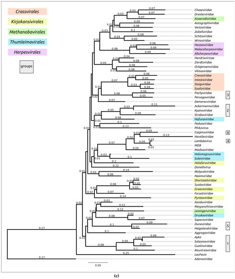 Biomolecules 13 00110 g0a1c