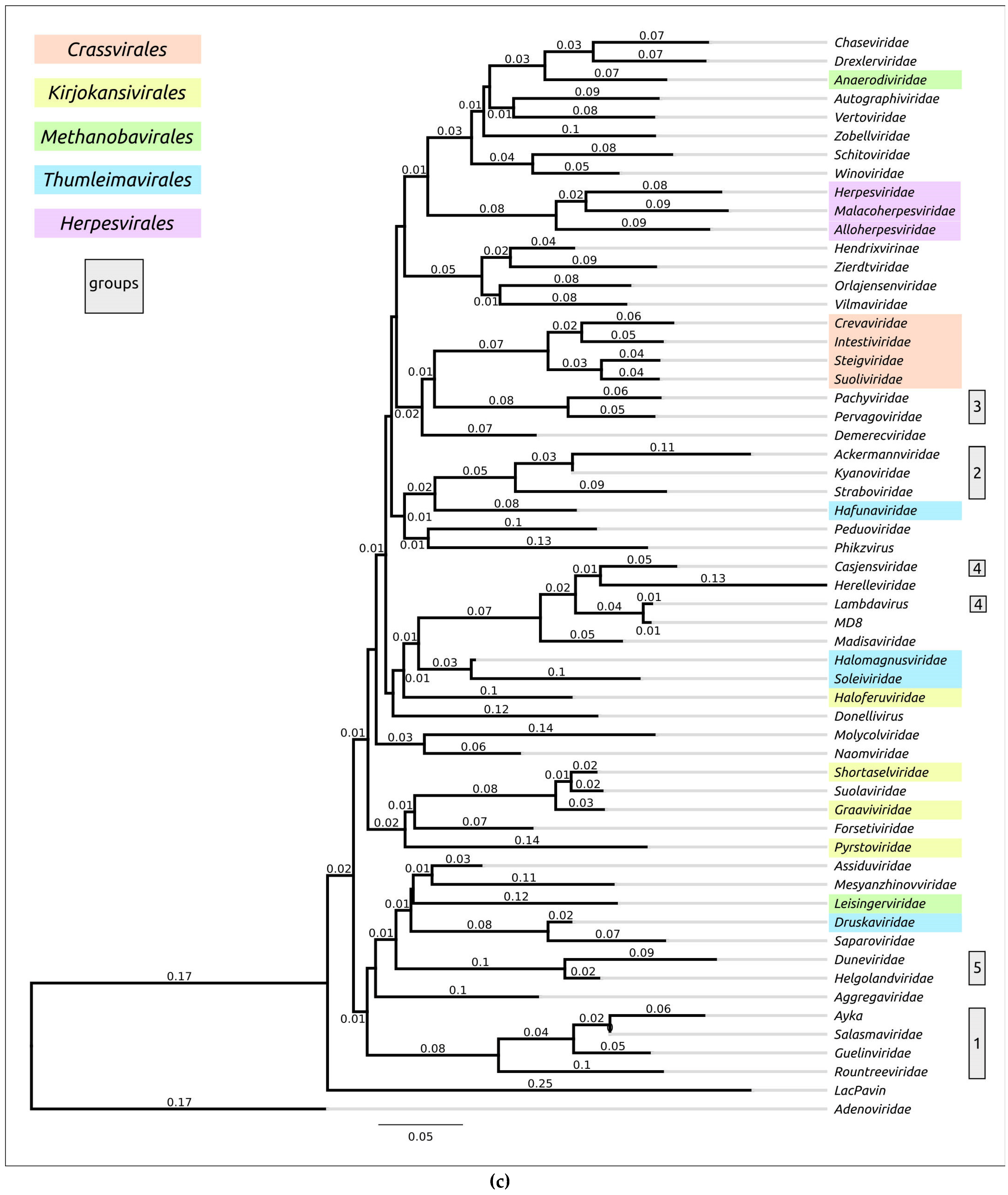 Biomolecules 13 00110 g0a1c